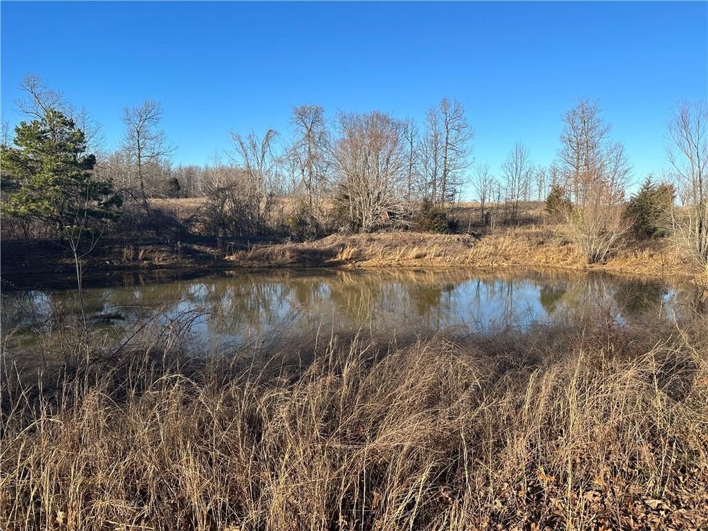 44 Acres, Madison 3619, Kingston, AR 72742 Land and Farm