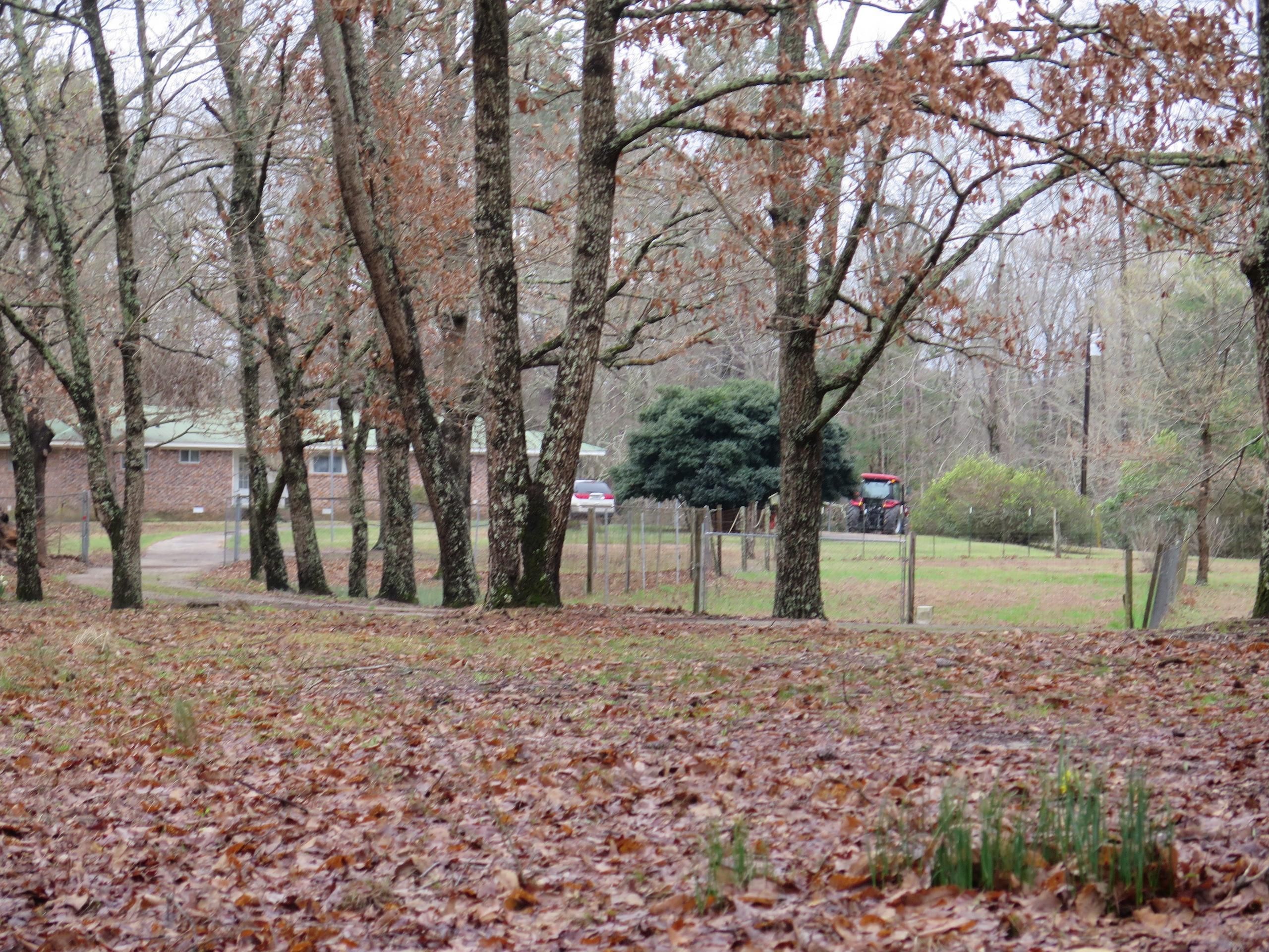 67 Acres, 14210 Hwy 18E, LotWP001, Quitman, MS 39355 Land and Farm