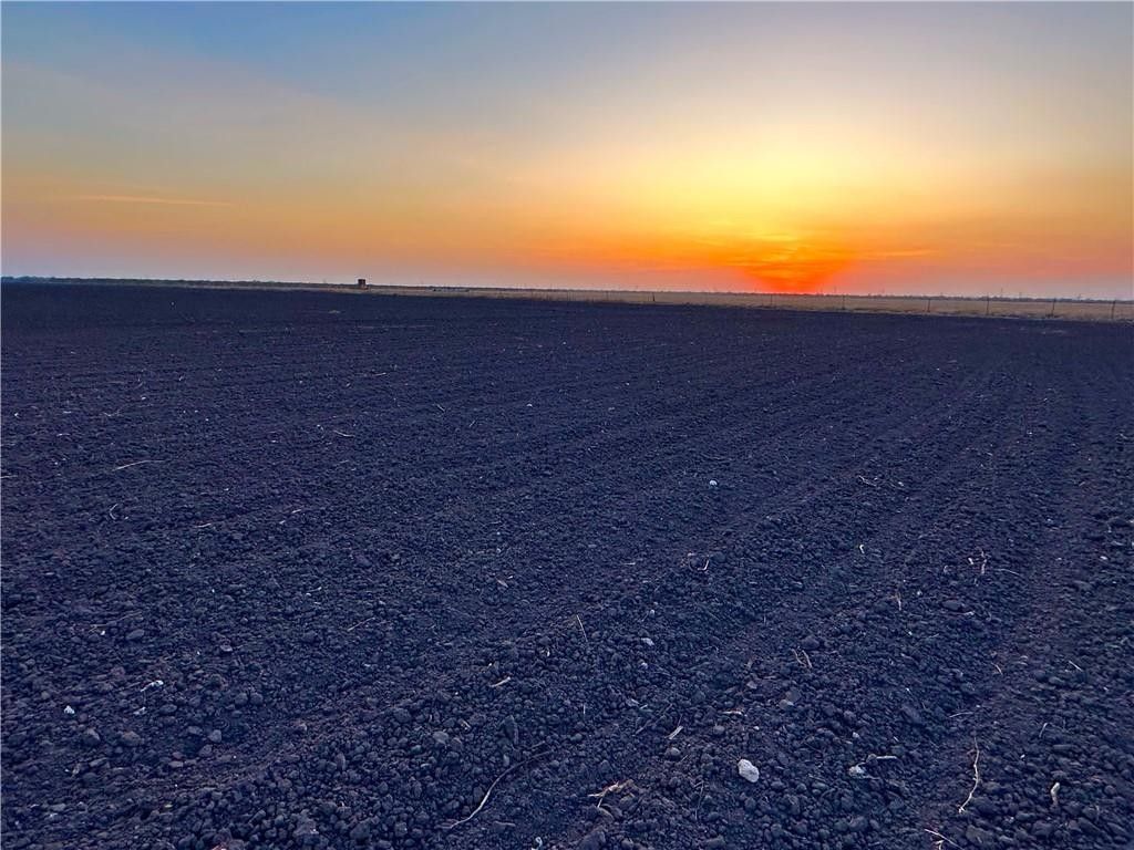 169 Acres, 0 County Road 6, TX 78343 Land and Farm