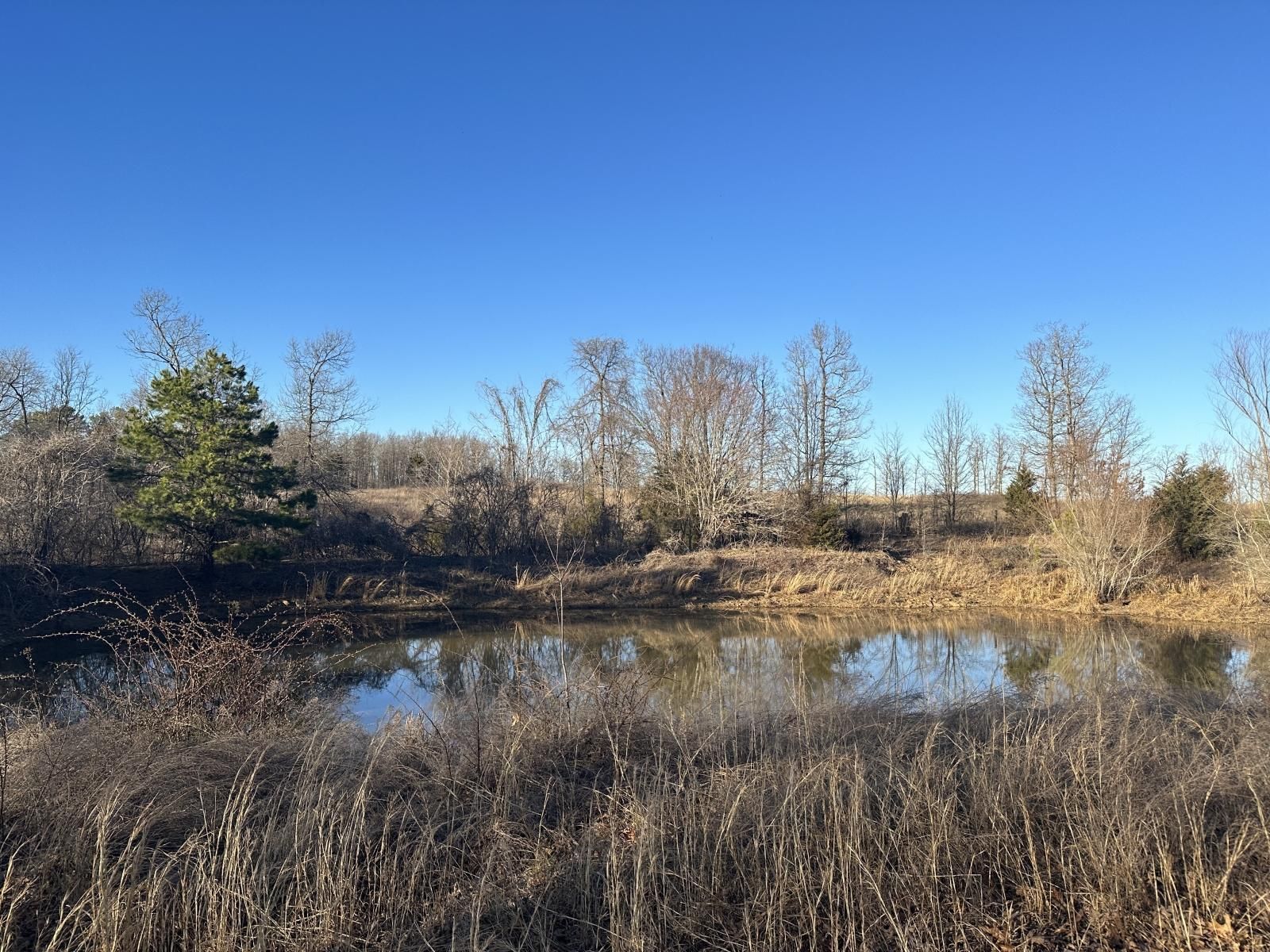 44 Acres, Madison 3619, Kingston, AR 72742 Kingston, Arkansas 72742