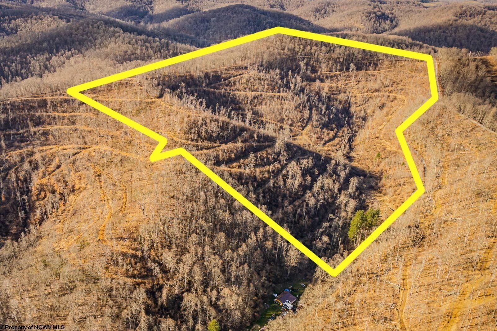 78 Acres, Lot 1 campbells run Road, Metz, WV 26585 Land and Farm