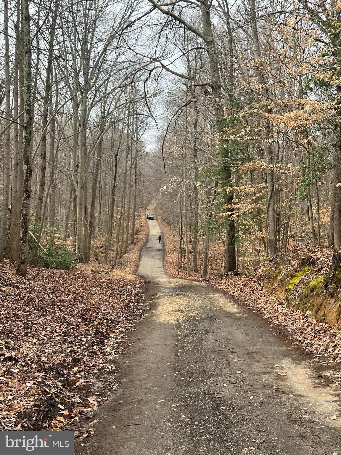 5 Acres, 3400 CATCHPENNY PLACE, Bryans Road, MD 20616 Land and Farm