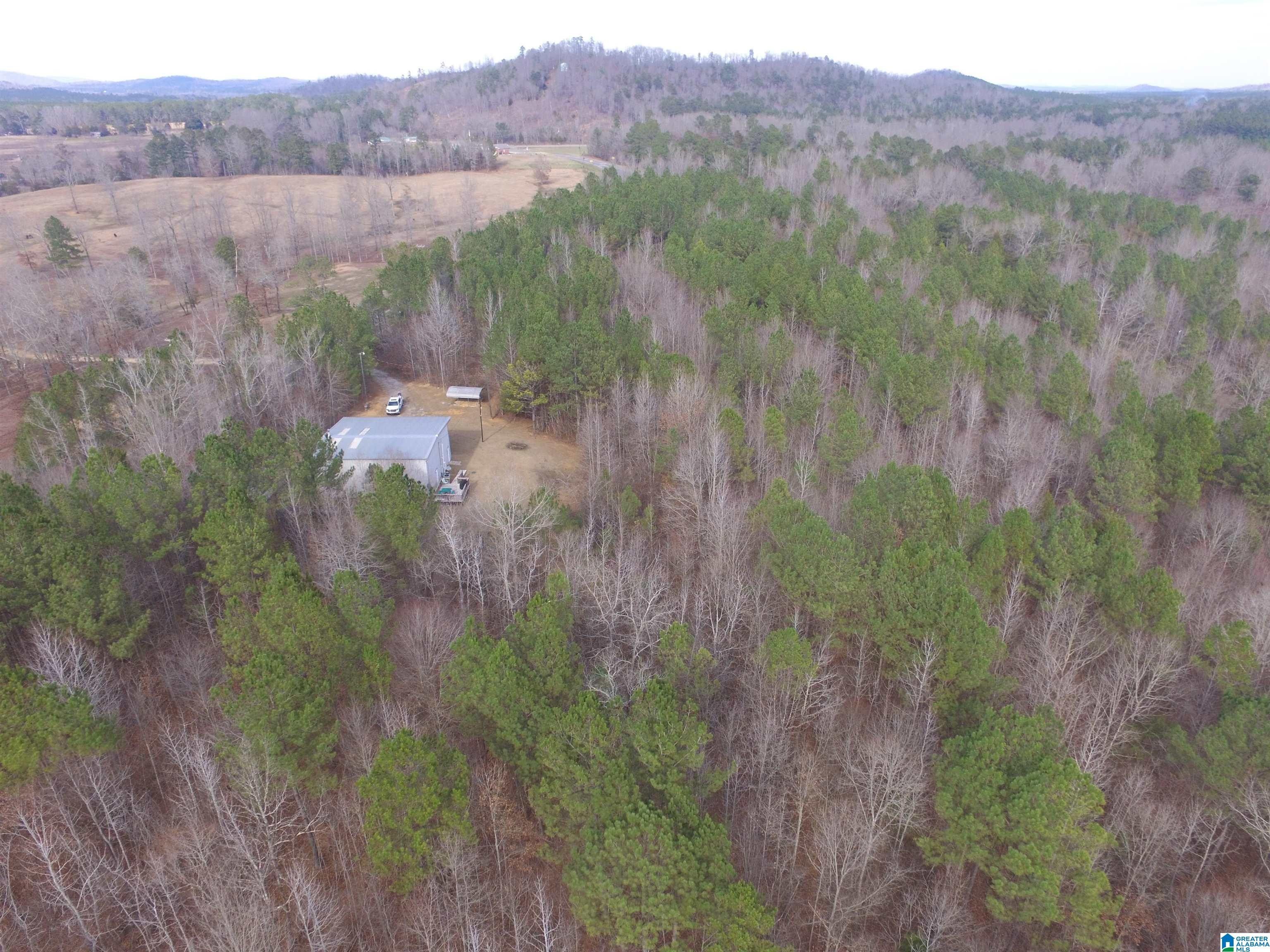 10.01 Acres, 9764 MUDD STREET, Ohatchee, AL 36271 Land and Farm