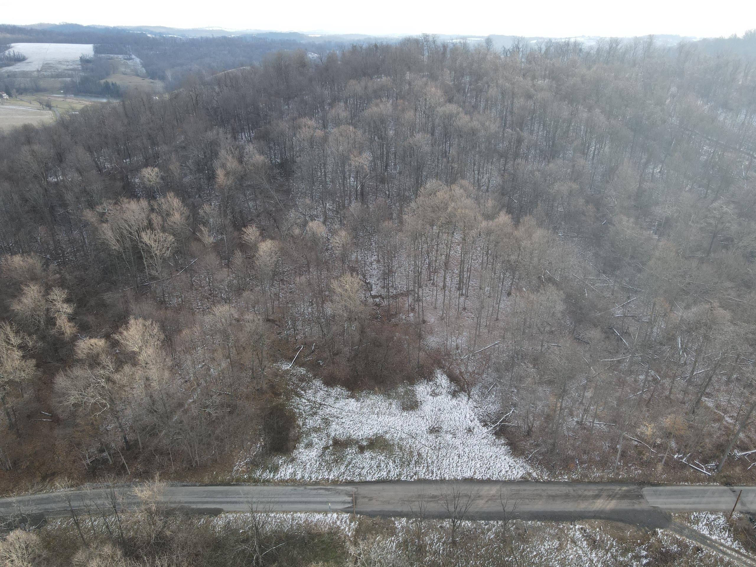 12.08 Acres, Baker Hill Road, LotW001, Washington, PA 15301 Land and