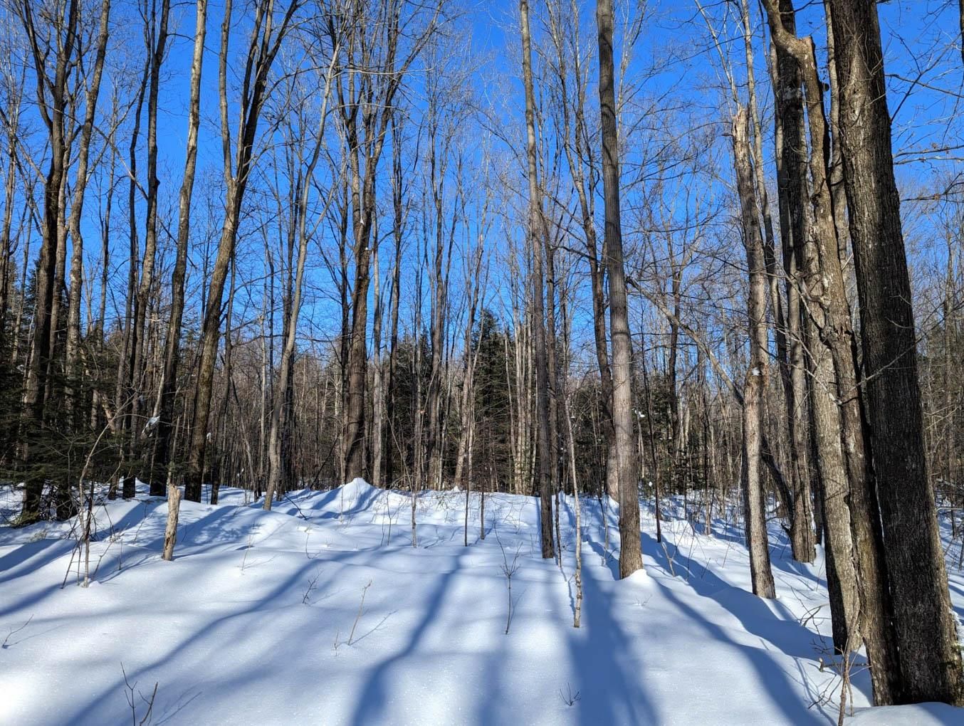 n1698 Johnson Rd, Ogema, WI 54459 Land and Farm