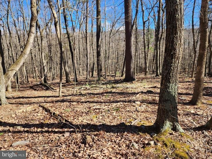 7.9 Acres, 8 & 9 HOWARD DELAWDER LANE, Mathias, WV 26812 Land and Farm