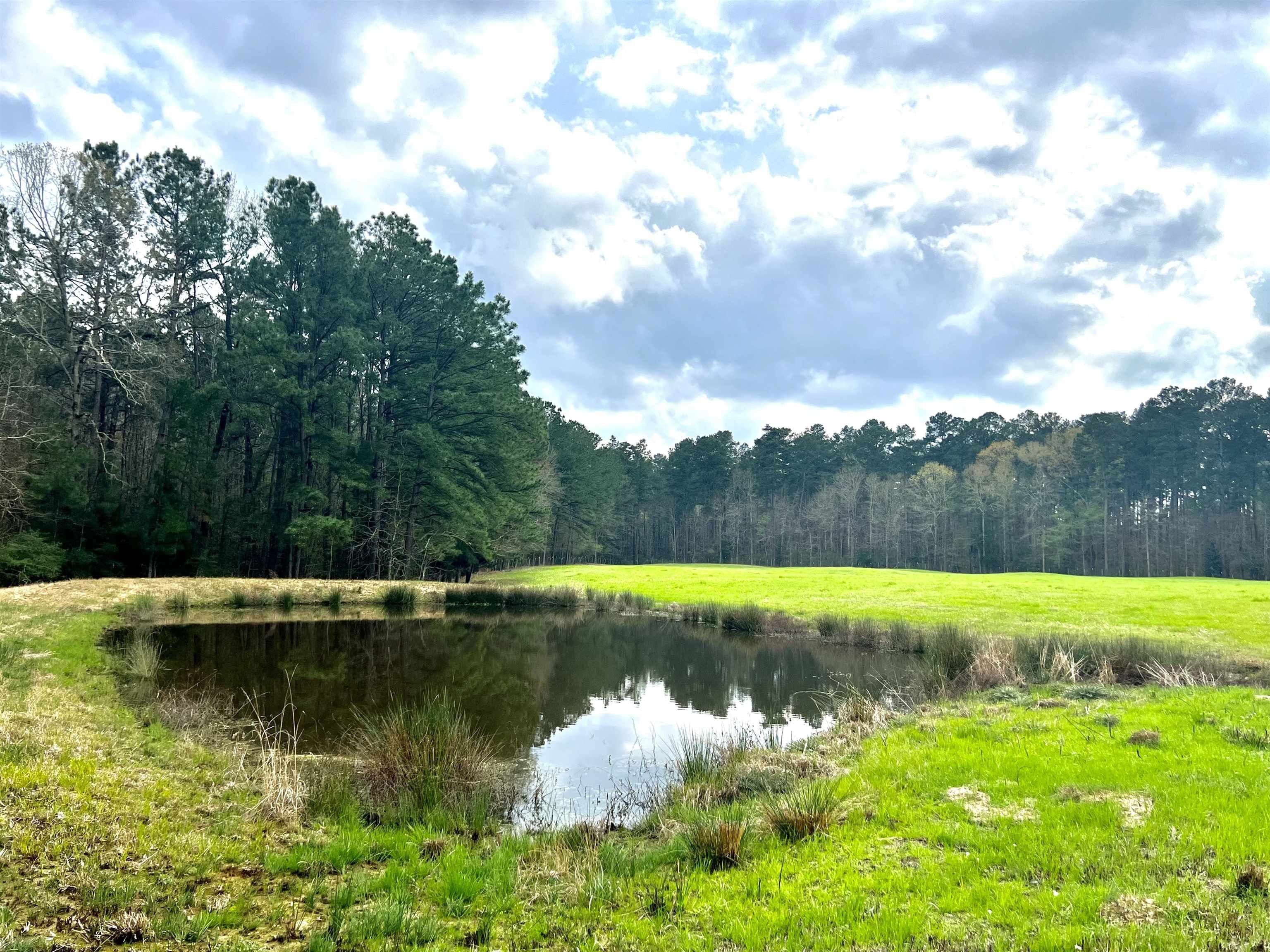 25 Acres, 4631 Gravel Hill Rd., Bronson, TX 75930 Land and Farm