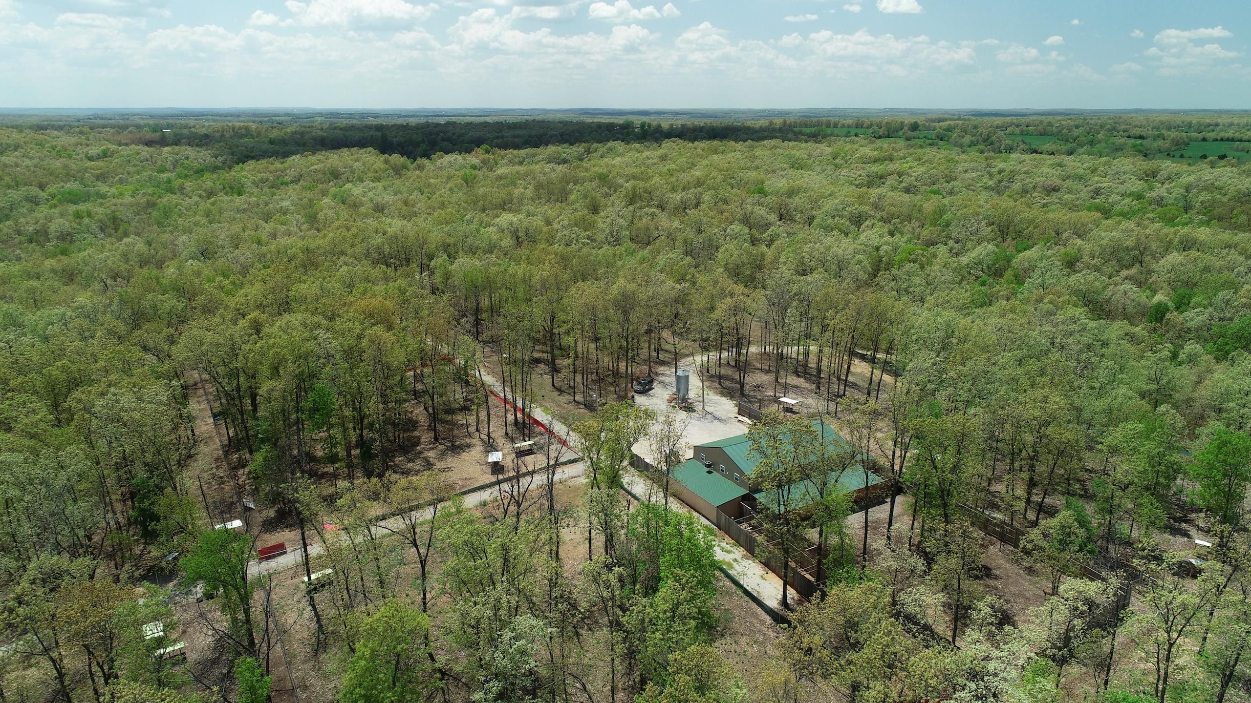 589 Handley Road, Conway, MO 65632 Land and Farm