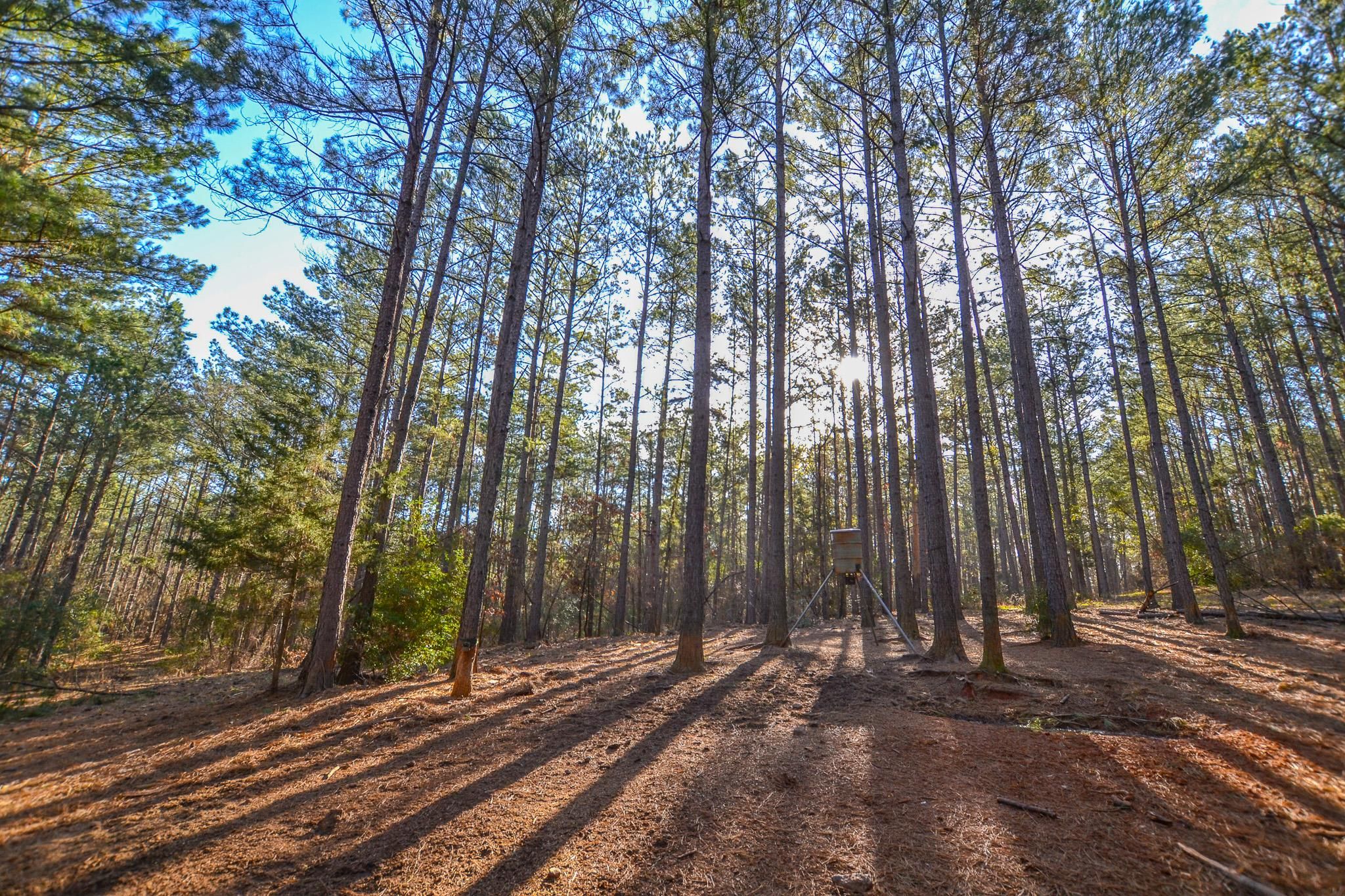 198.67 Acres, Hawkins, TX 75765 Land and Farm