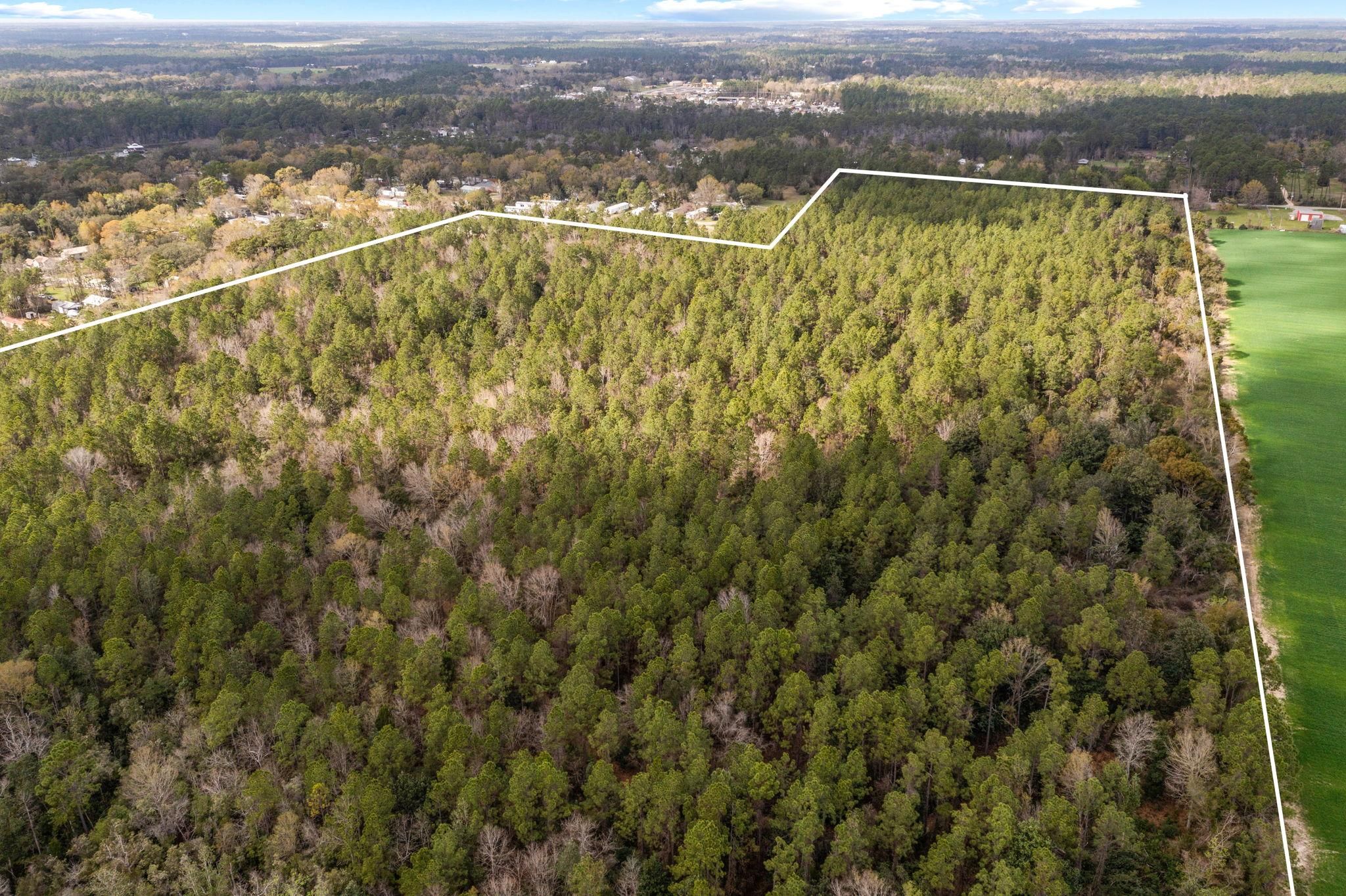 63 Acres, CR 20, Elberta, AL 36530 Land and Farm