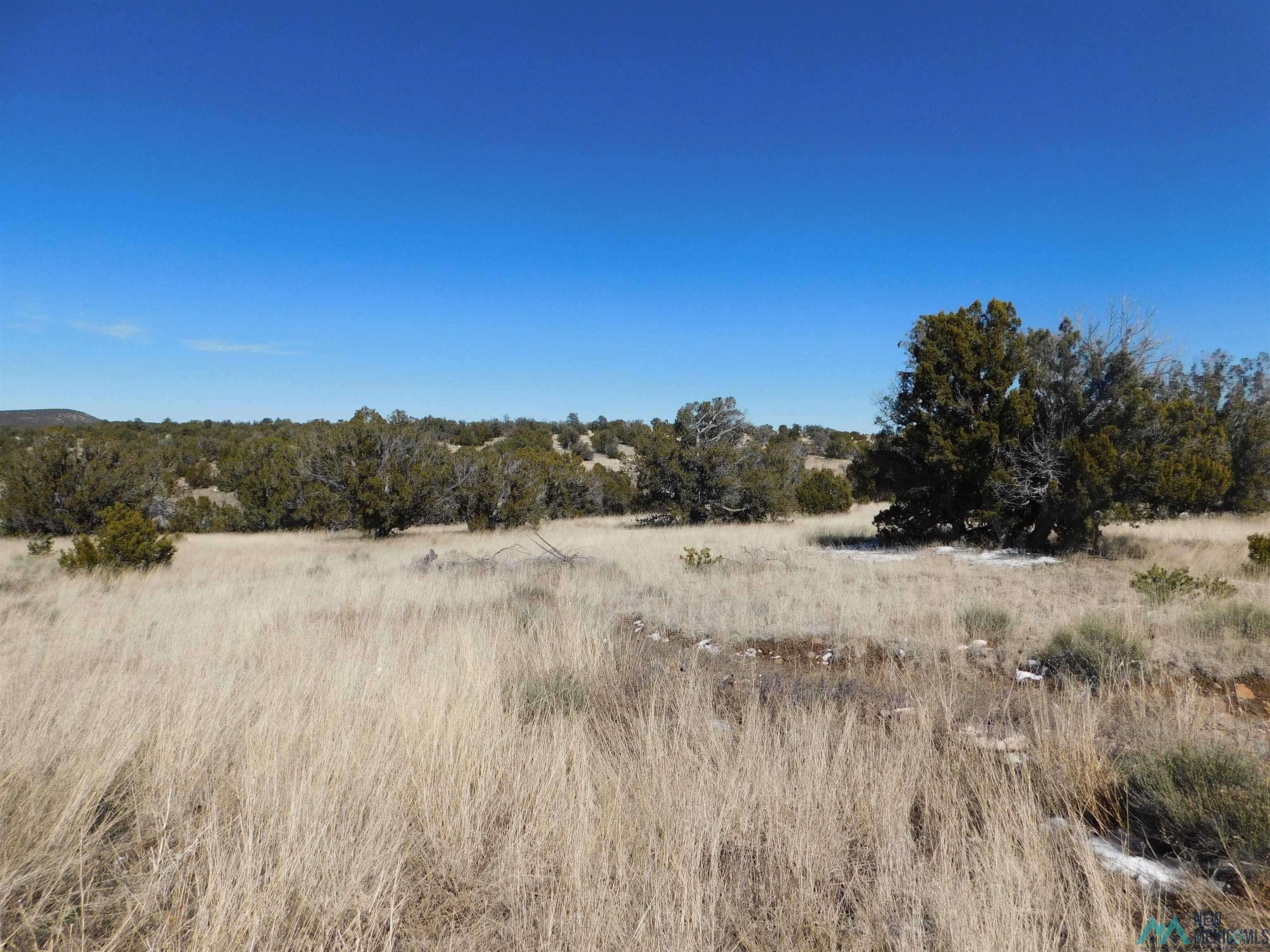 10.71 Acres, 41 BRIDLE Path, Quemado, NM 87829 Land and Farm