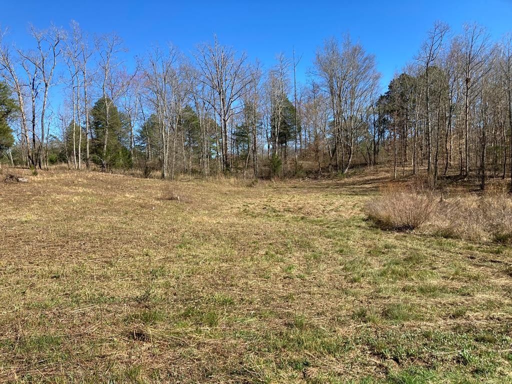 1.87 Acres, 00 County Road 188, Decatur, TN 37322 Land and Farm