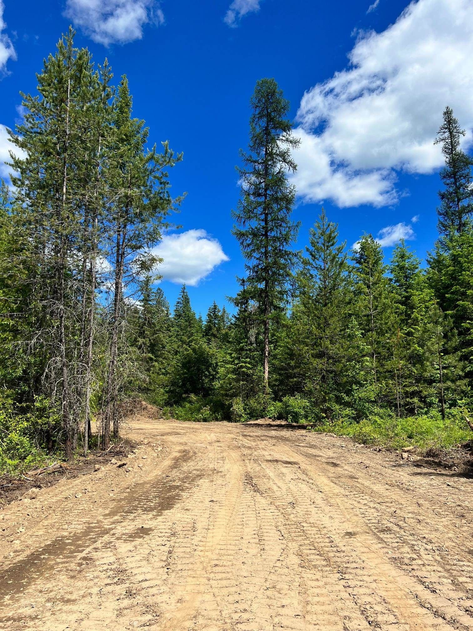 20 Acres, Bead Lake, Newport, WA 99156 Land and Farm