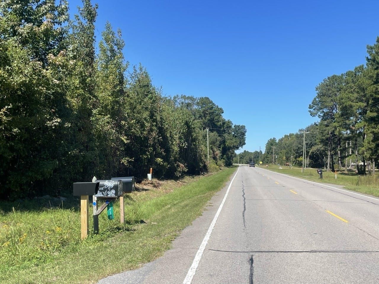 33 acres in Bamberg, SC, 29003 Land and Farm