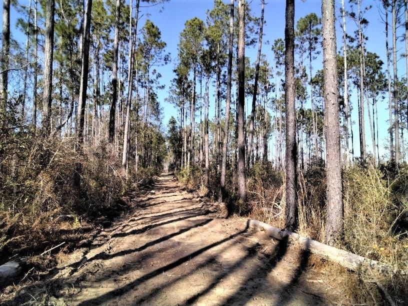 80.84 acres in Blountstown, FL, 32421 Land and Farm