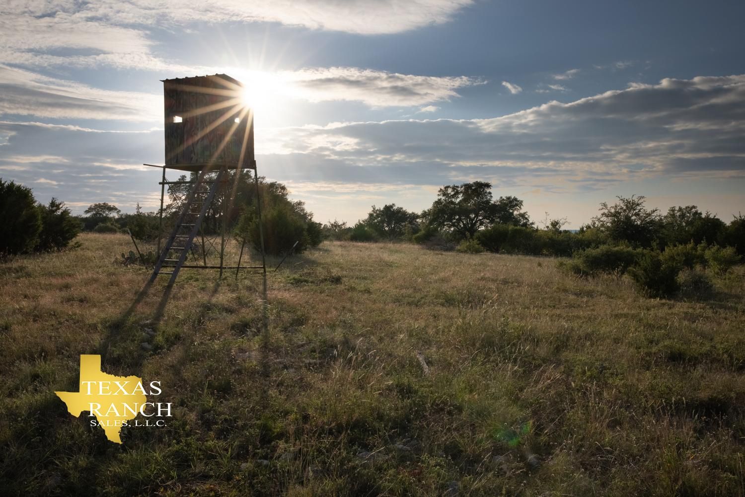 190 Acres, Oakalla, TX 78608 Land and Farm