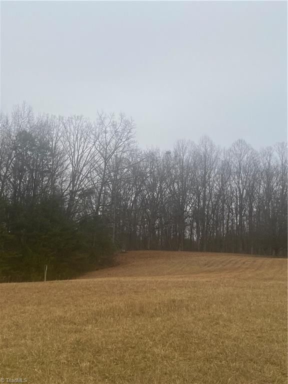 523 Magnolia Lane, Cana, VA 24317 MLS 1093479 Land and Farm