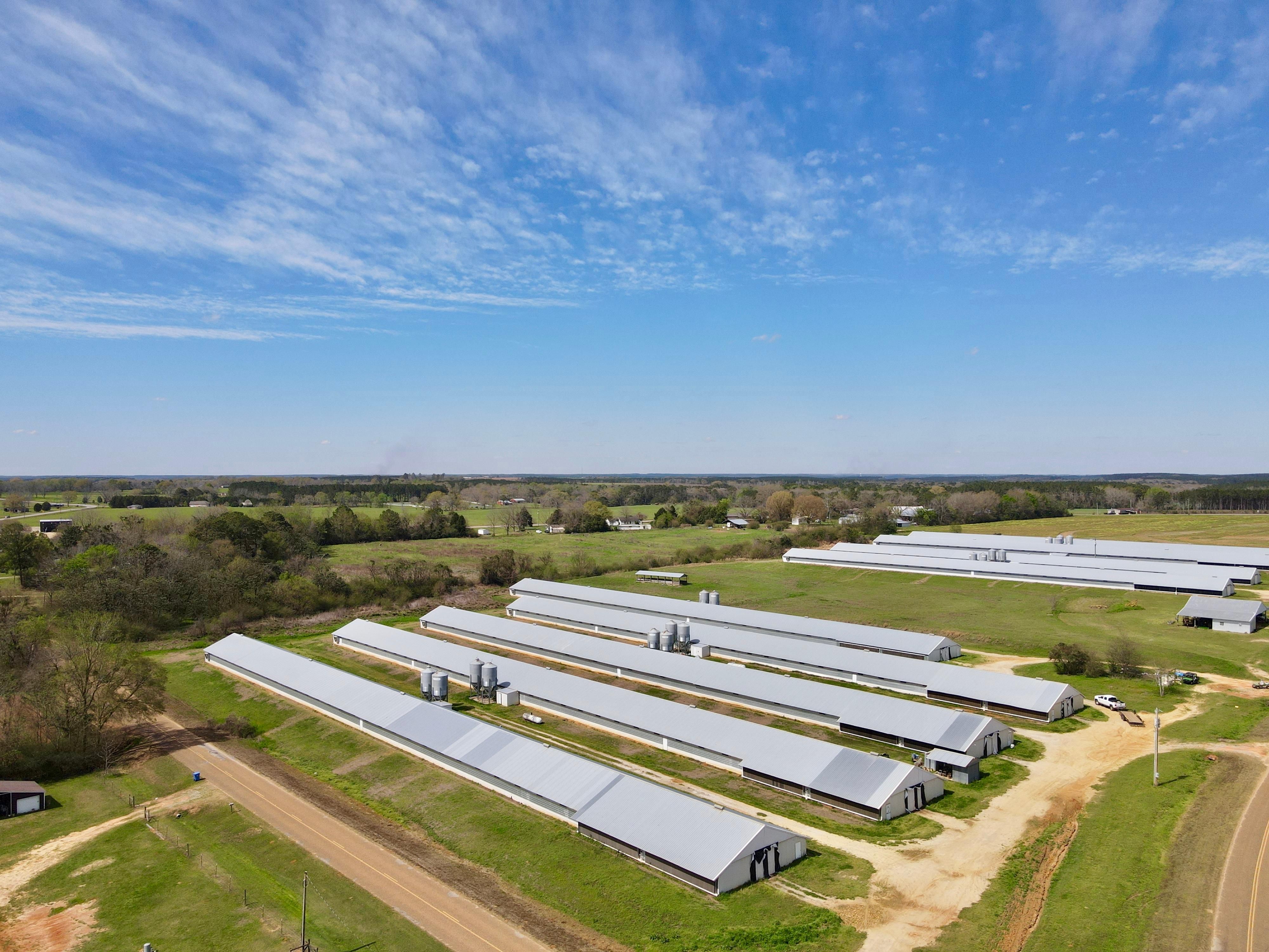 39 acres in Elba, AL, 36323 Land and Farm