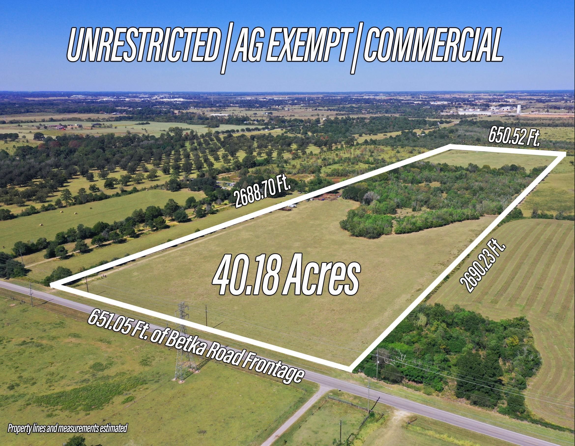 40 Acres, Betka Road, Waller, TX 77484 Land and Farm