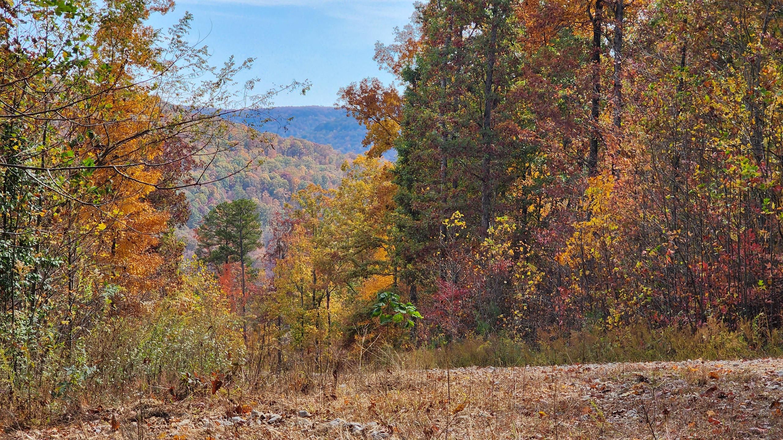 Huron Dr, Jamestown, TN 38556 Land and Farm