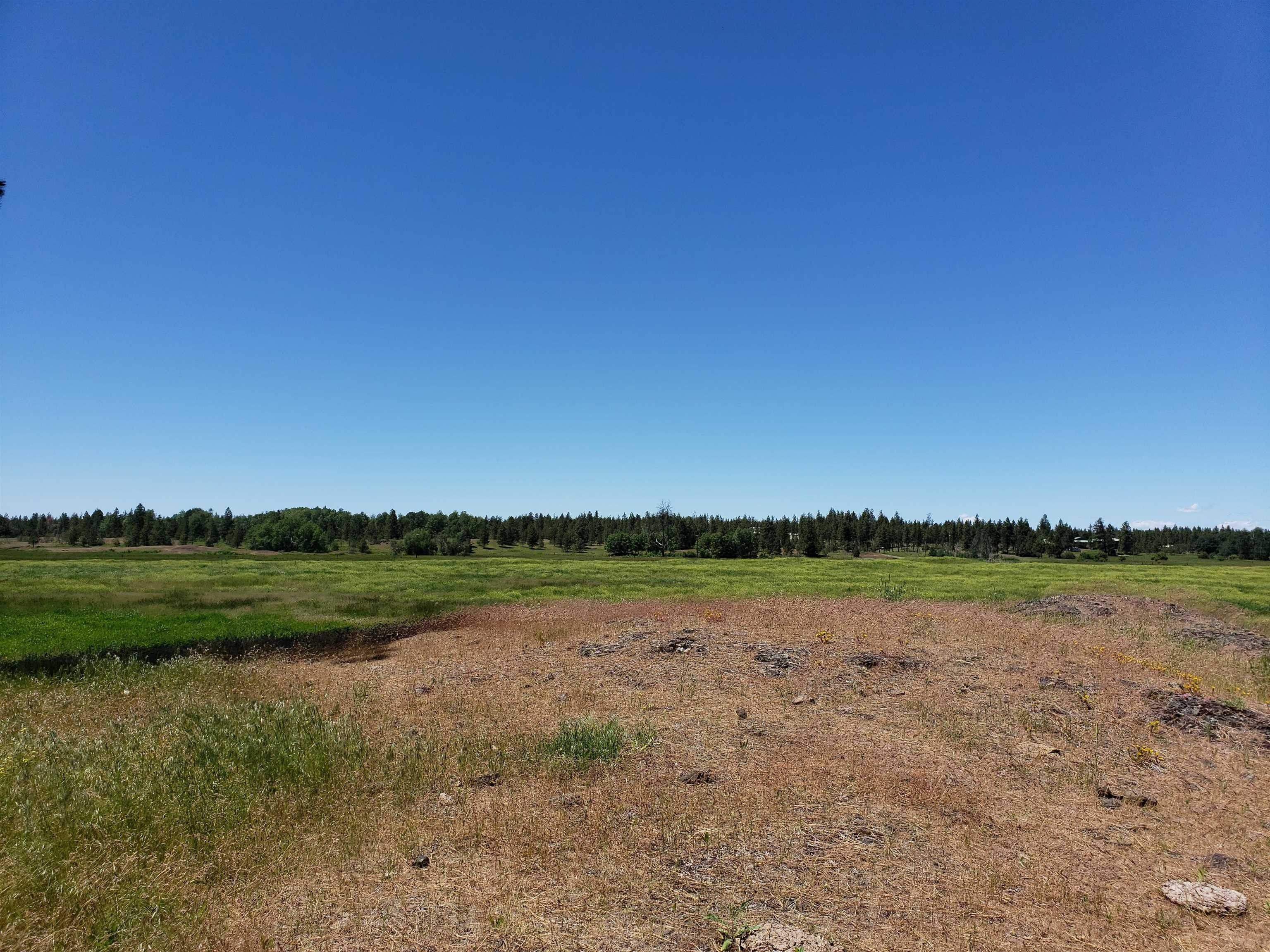 20 Acres, Xxxx W Baker, Lot K, Cheney, WA 99004 Land and Farm