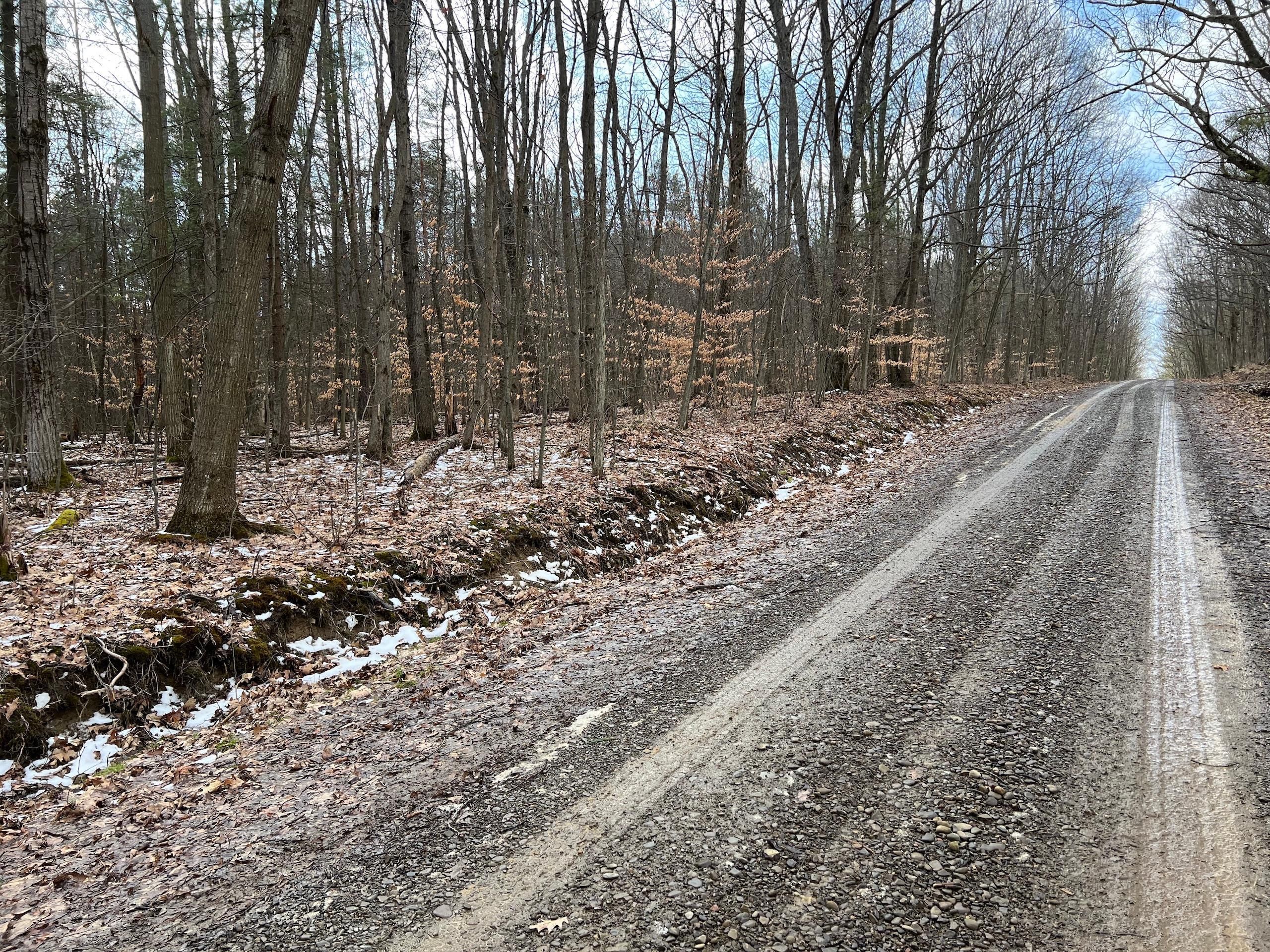 9.6 Acres, Coyle Hill Road, Scio, NY 14880 Land and Farm