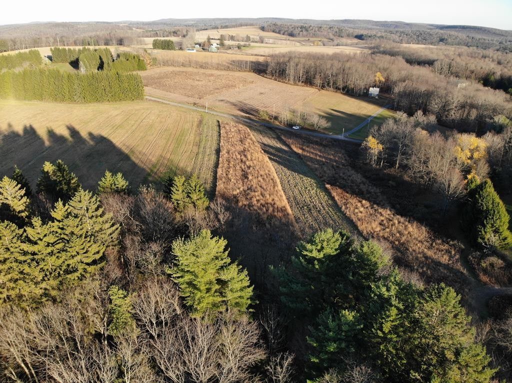 6.9 Acres, 00 Tyoga Rd, Galeton, PA 16922 Land and Farm