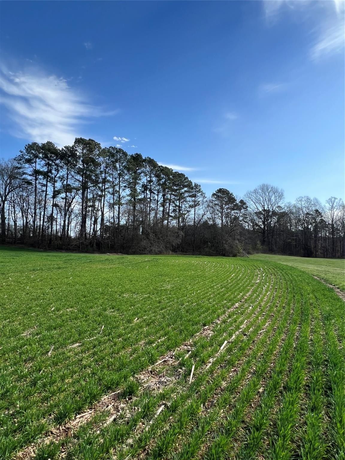 3.41 Acres, 000 Sharon School Road, Statesville, NC 28625 Land and Farm