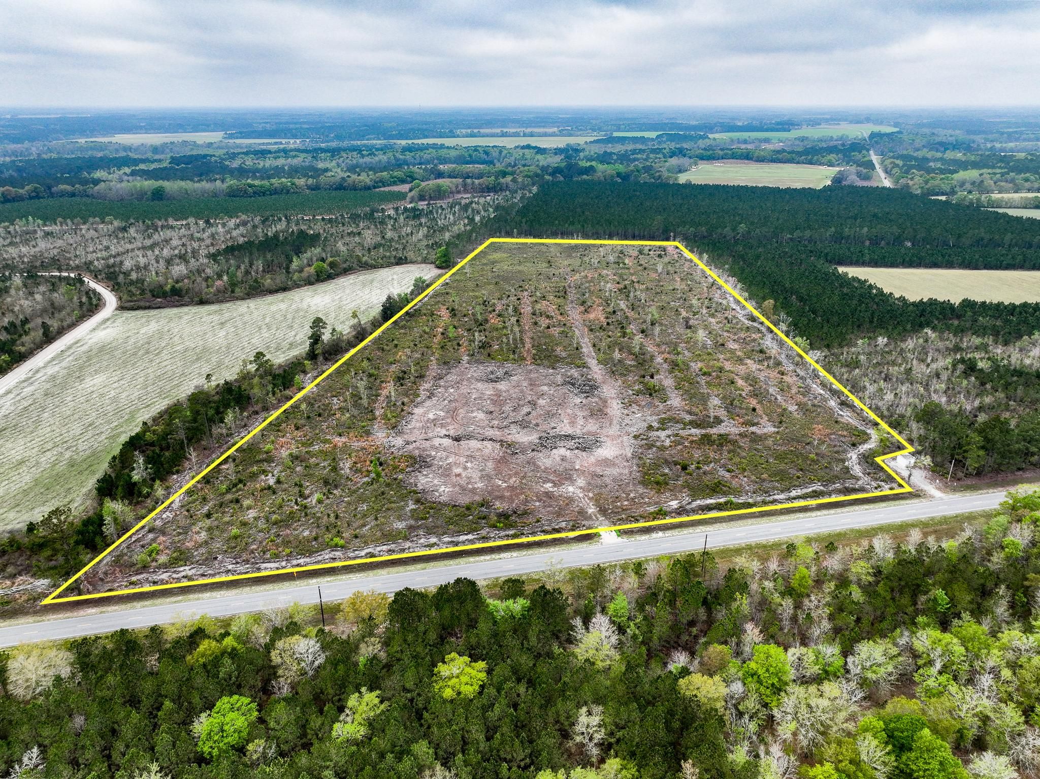 28.83 Acres, 000 Blackshear Highway, Surrency, GA 31563 Land and Farm