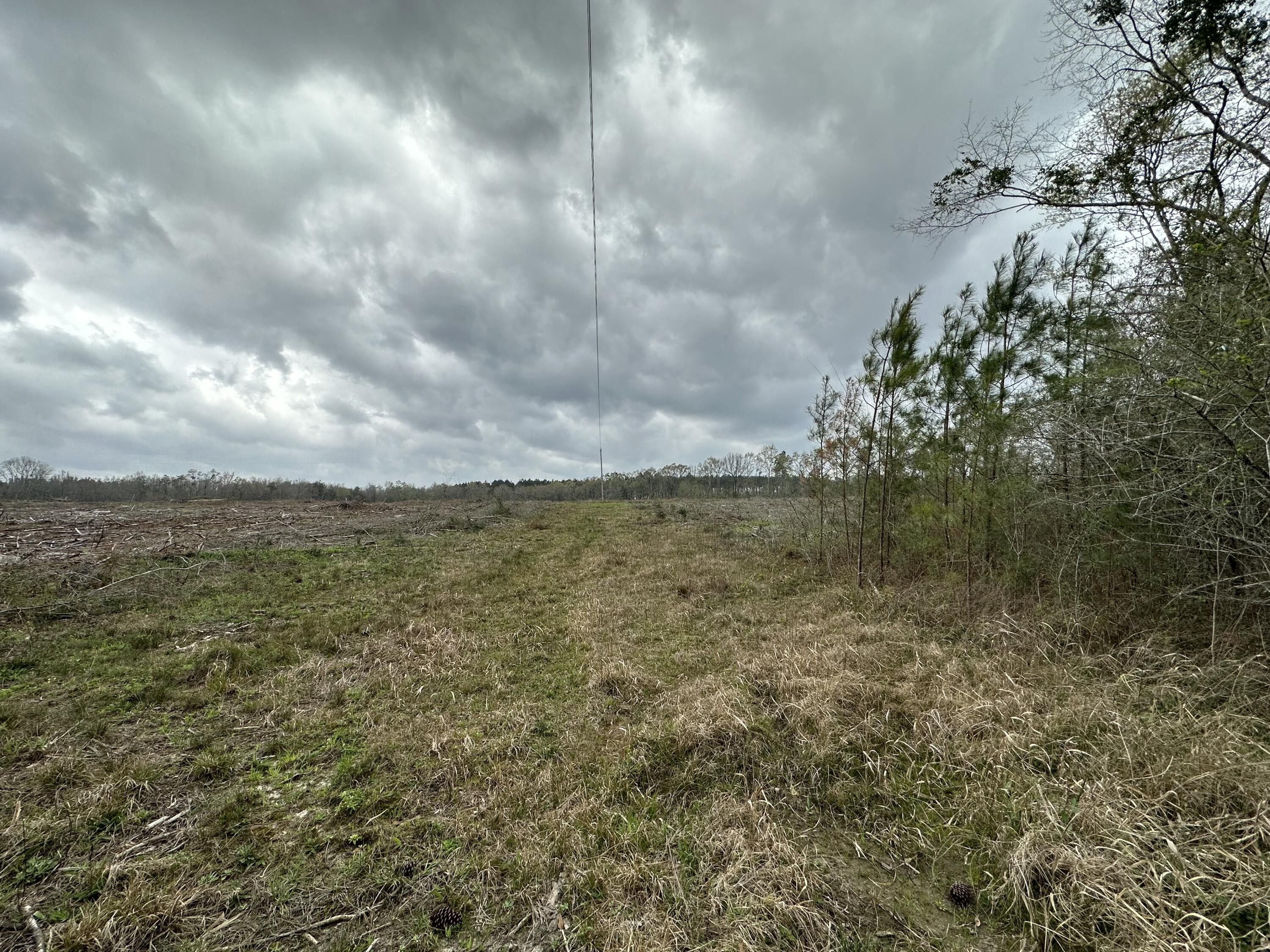 10.18 Acres, Tract6201 W Doyle Road, Westville, FL 32464 Land