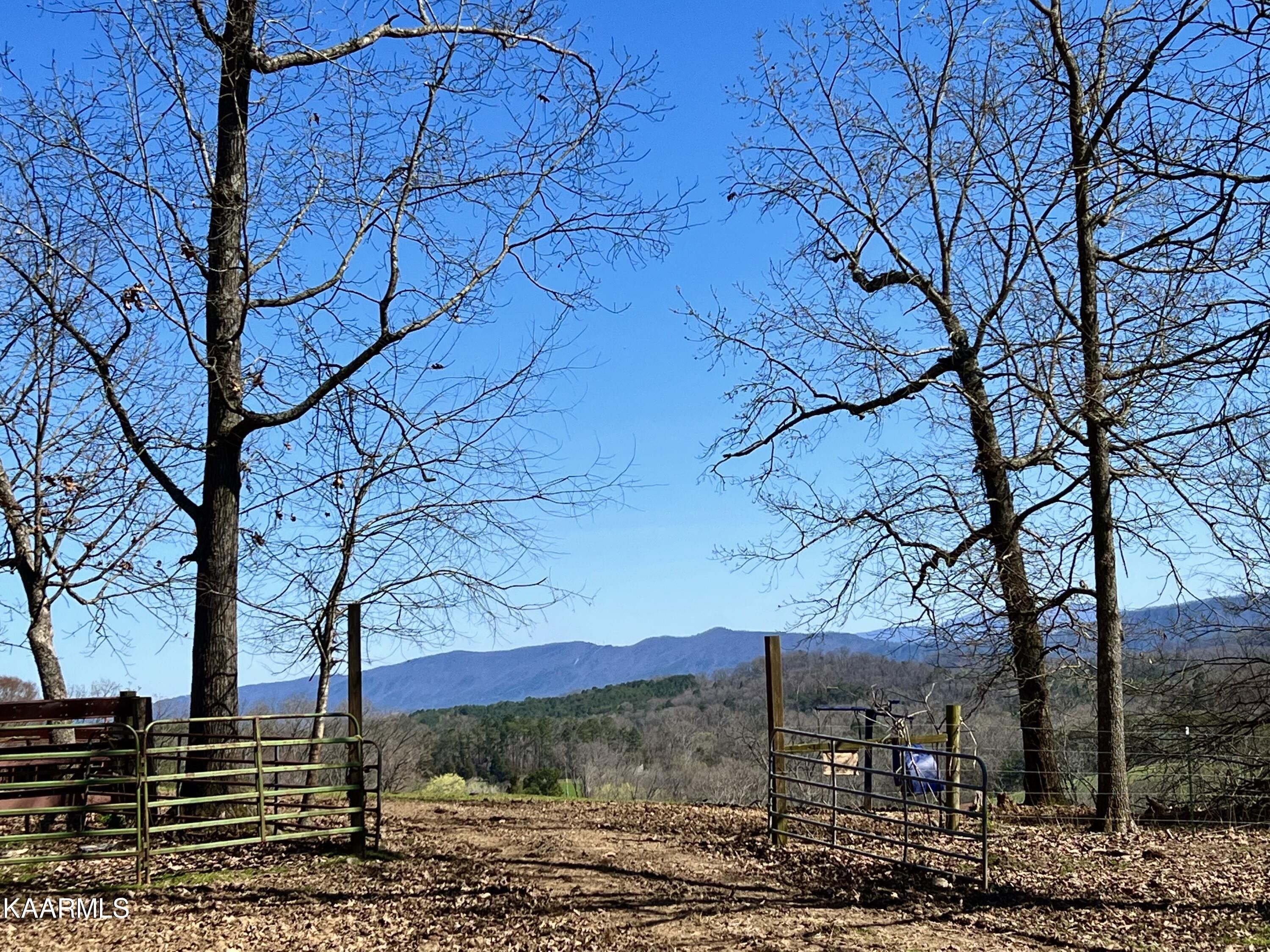 55.93 Acres, 55.93 Acres Trigonia Rd, Maryville, TN 37801 Land and Farm