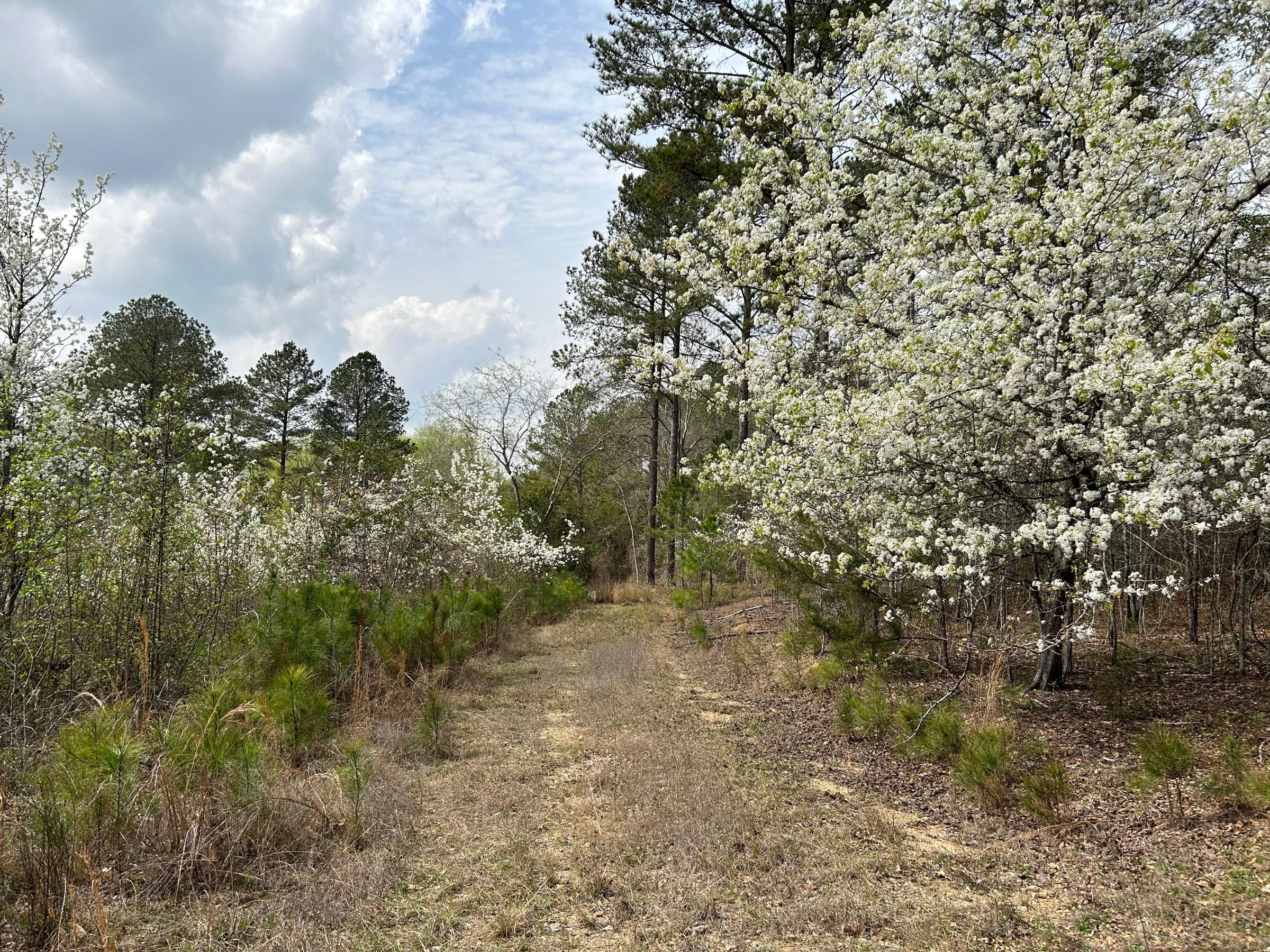58 Acres, Vinson Hwy, Milledgeville, GA 31061 Land and Farm