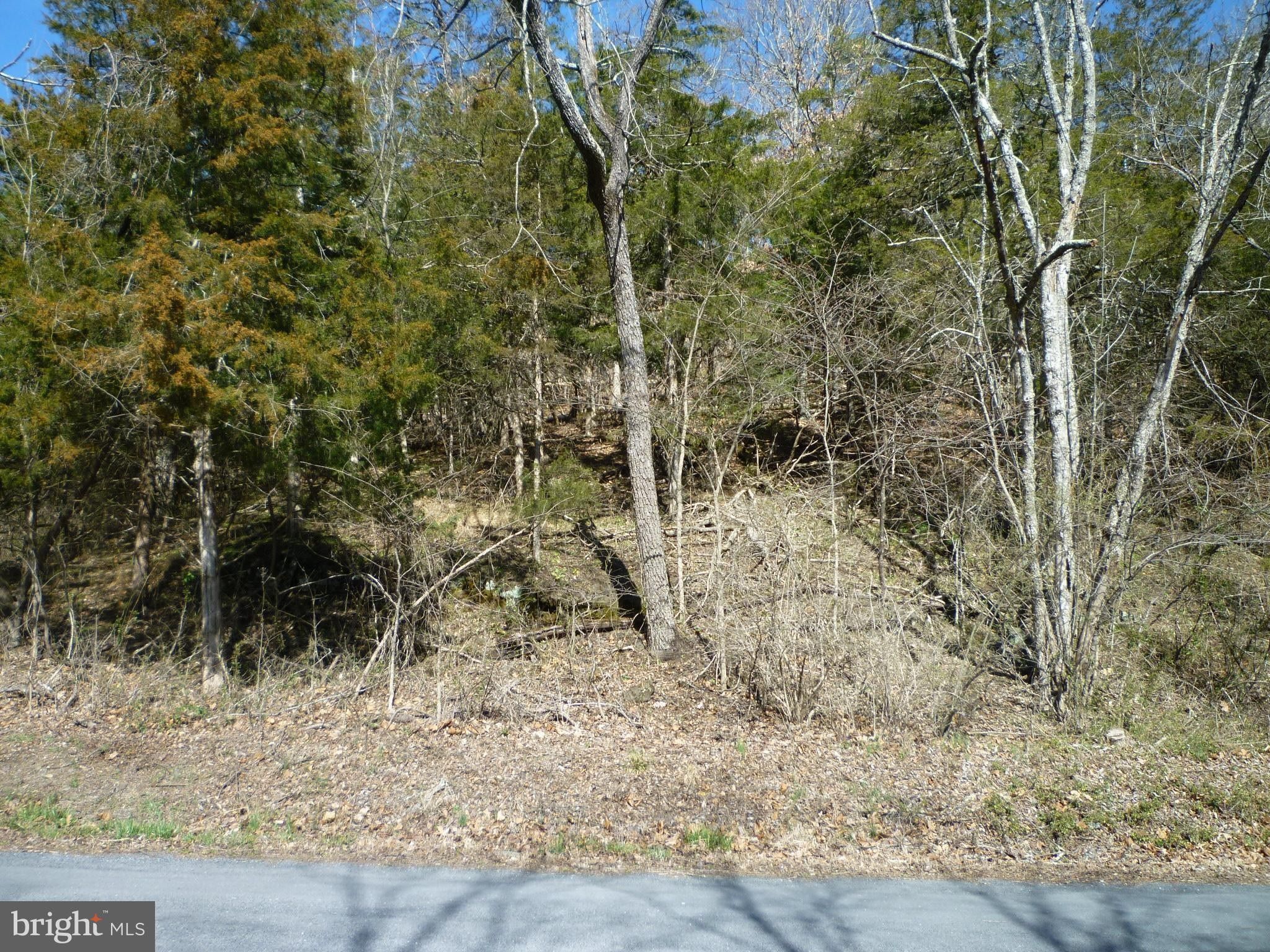 0.4 Acres, Lot 360 FAIRWAY DRIVE, Basye, VA 22810 Land and Farm