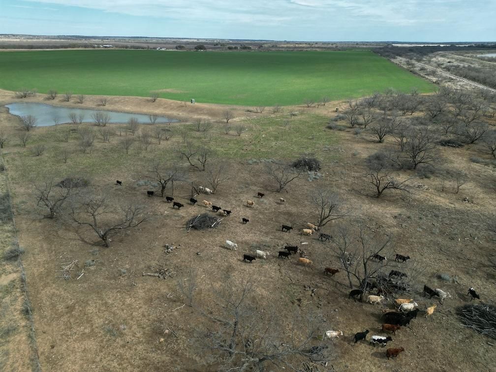 Private Road 944, Rochelle, TX 76872 Land and Farm