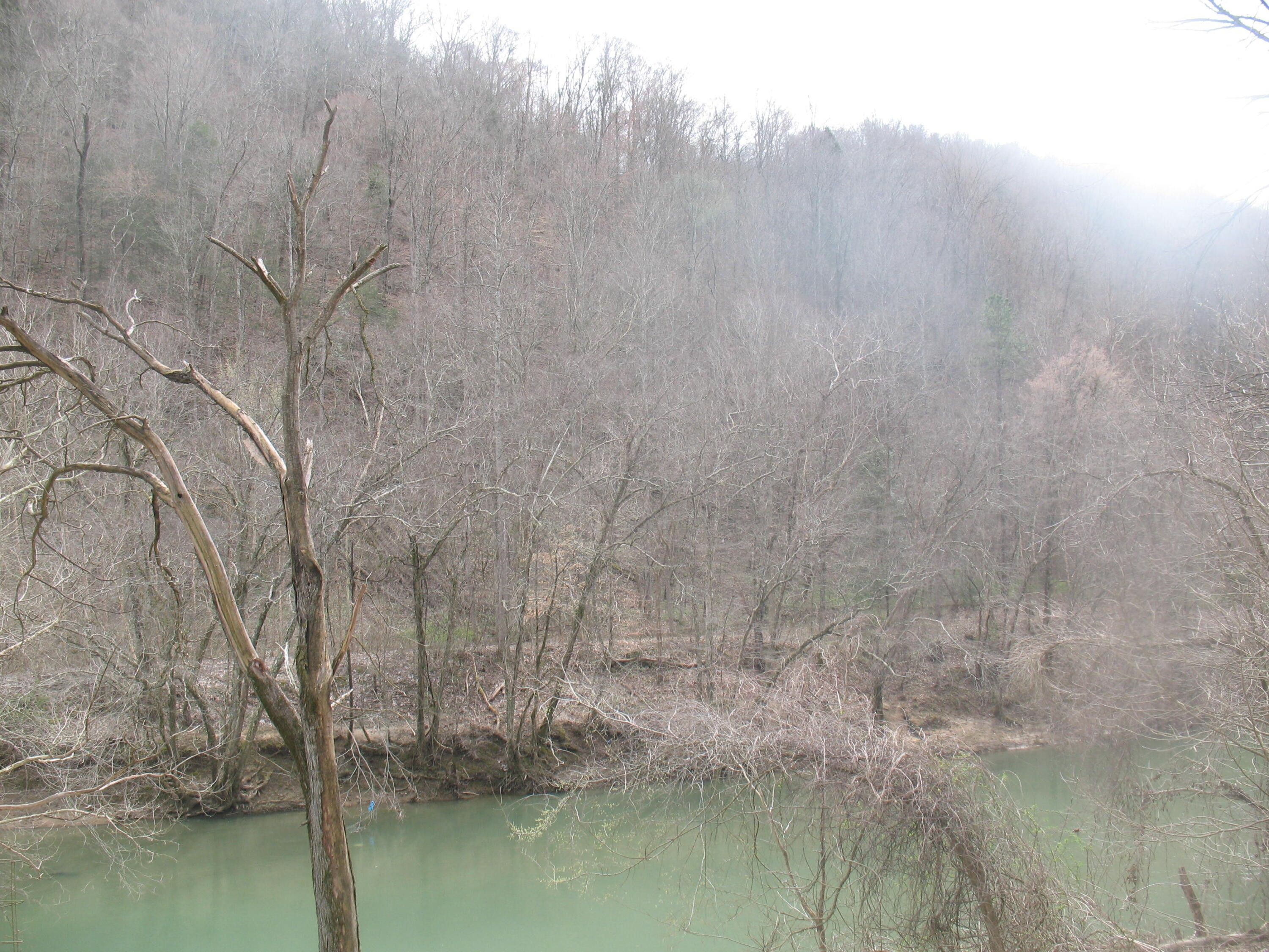 50 Acres, 9999 Hyden/Wendover Road, KY 40868 Land and Farm