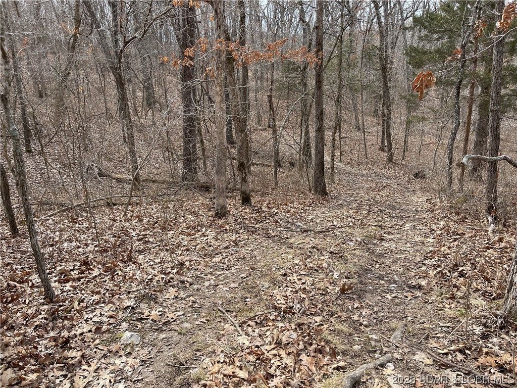 90 Acres, Tbd Fitzpatrick Avenue, Warsaw, MO 65355 Land and Farm