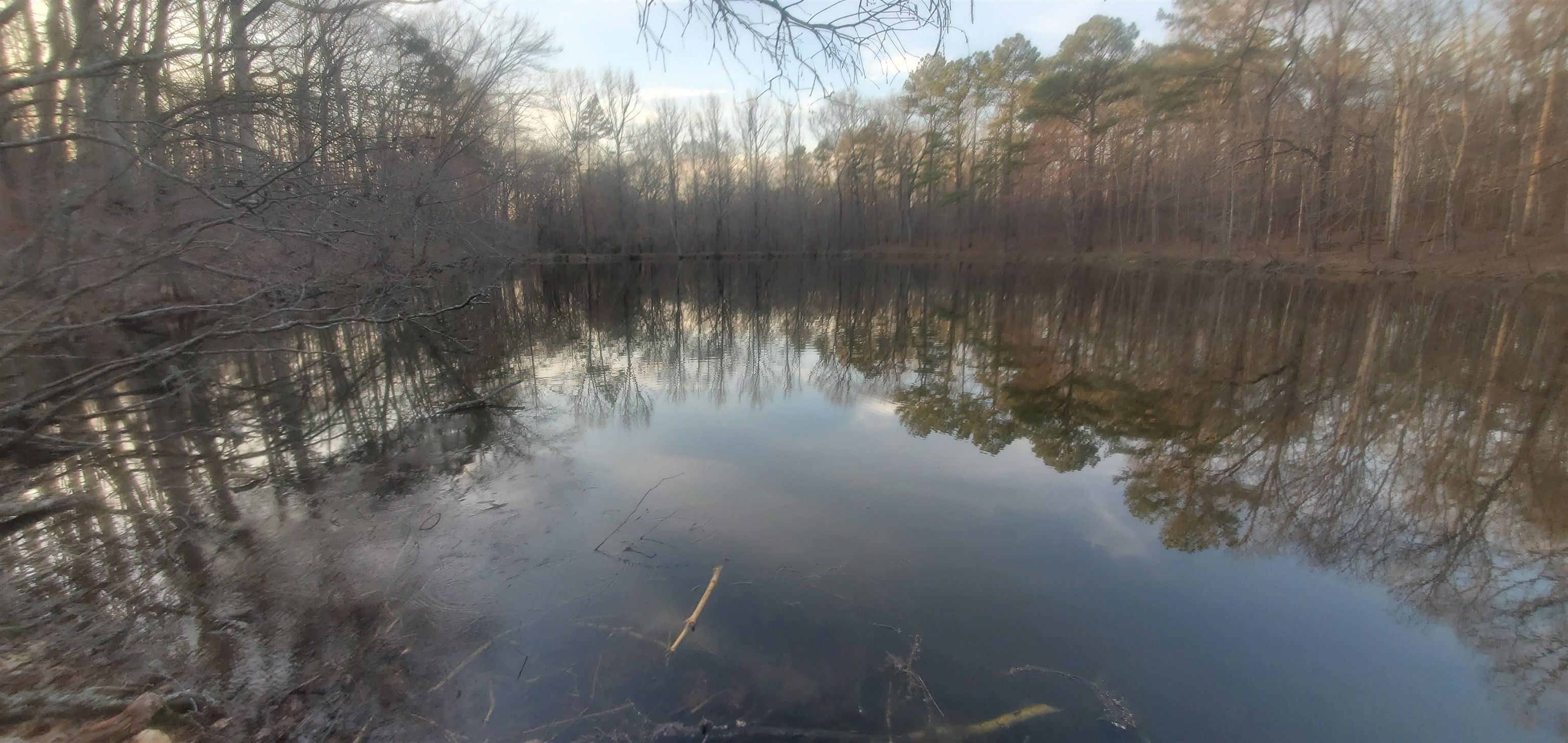 75 Acres, 0 W OF SULPHUR SPRINGS, Pocahontas, TN 38061 Land and Farm