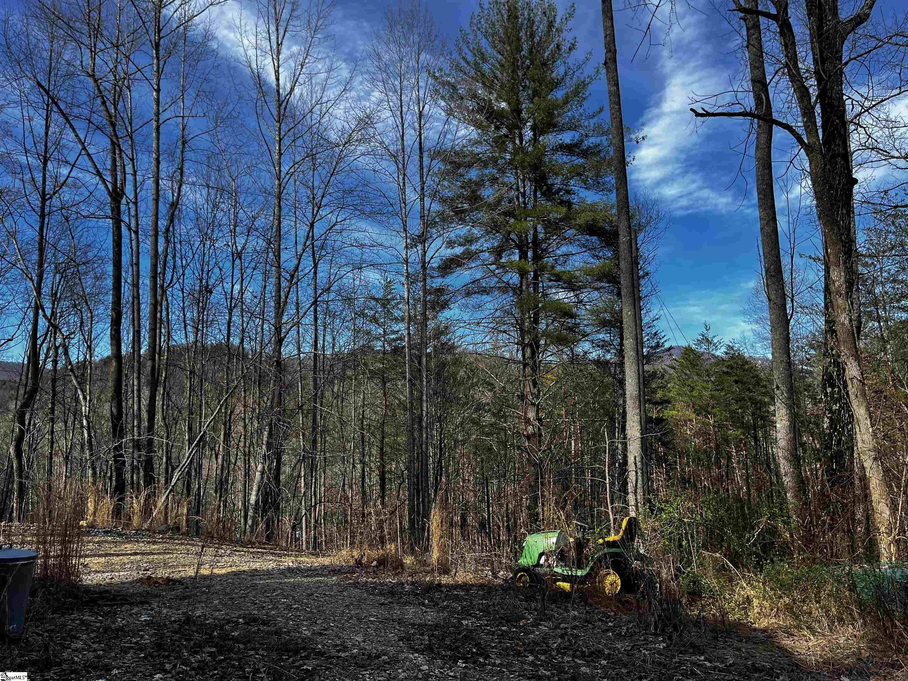 7 Acres, 279 Blue Sky Drive, Sunset, SC 29685 Land and Farm