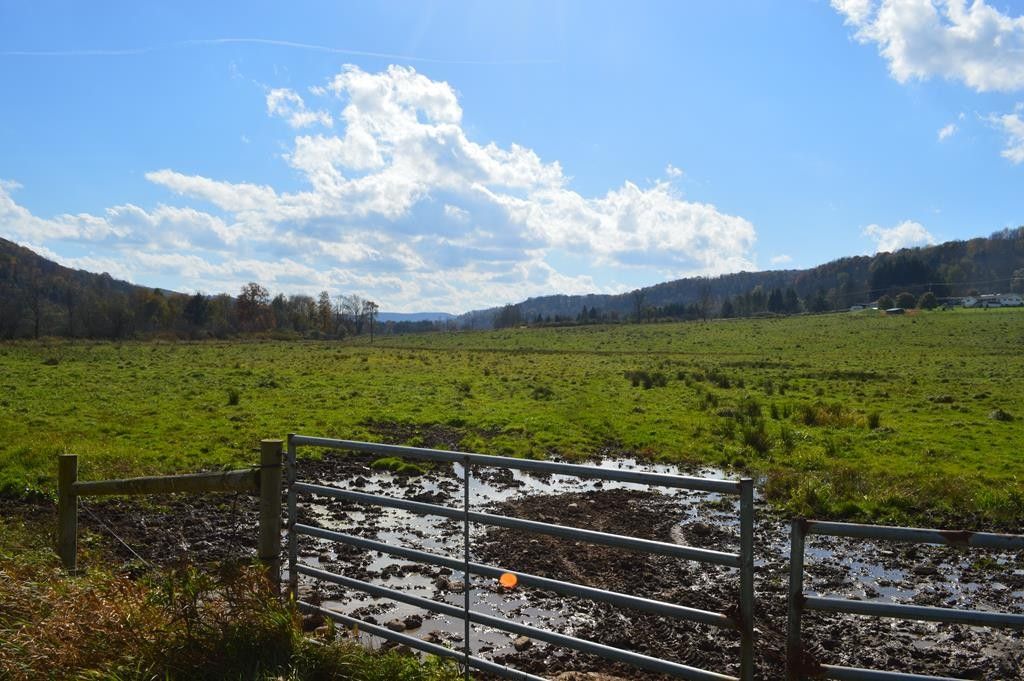 37.92 Acres, 0 Bells Run Road, Shinglehouse, PA 16748 Land and Farm