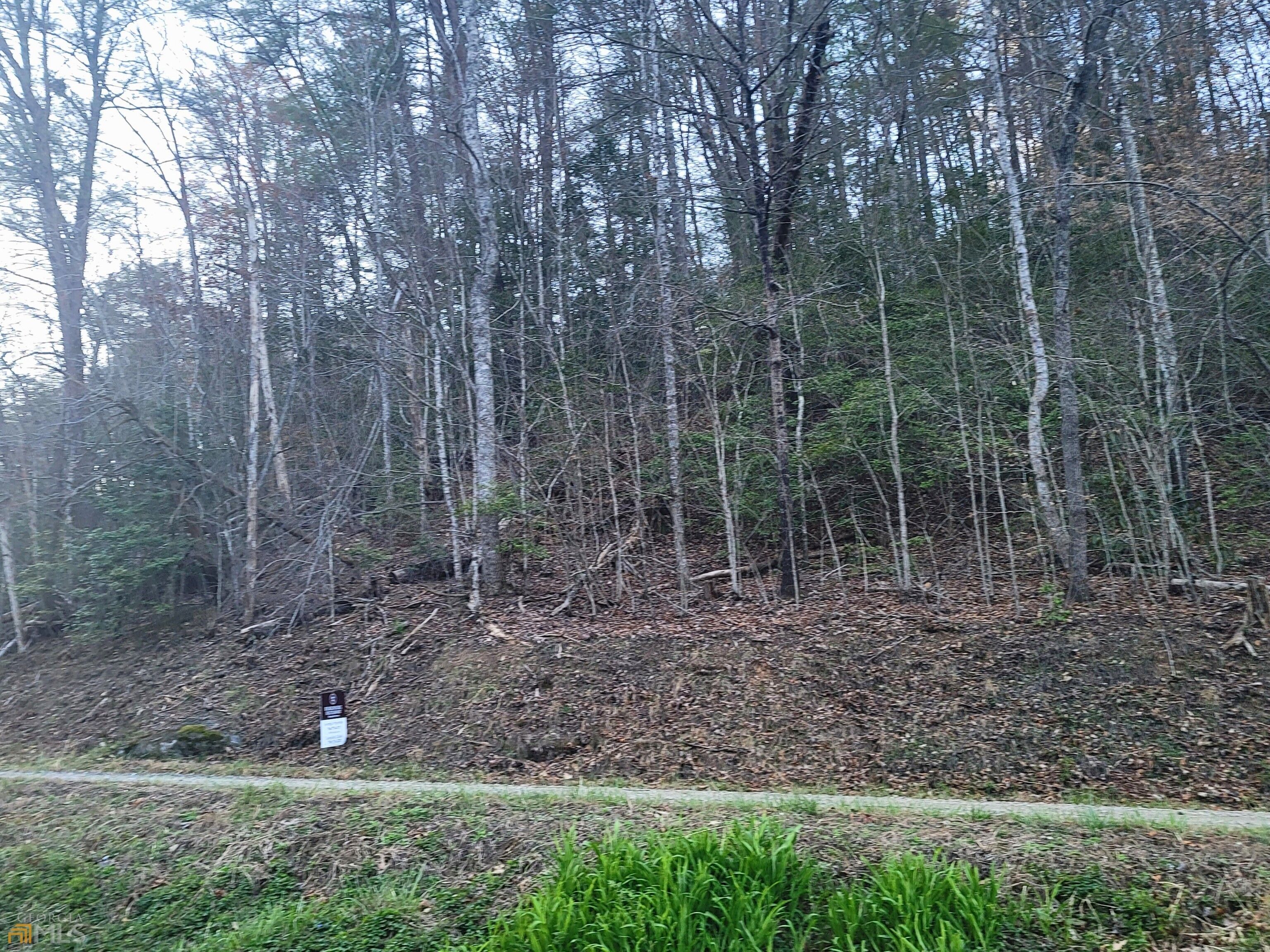 1.67 Acres, LOT 4 Myra Branch RD, Helen, GA 30545 Land and Farm