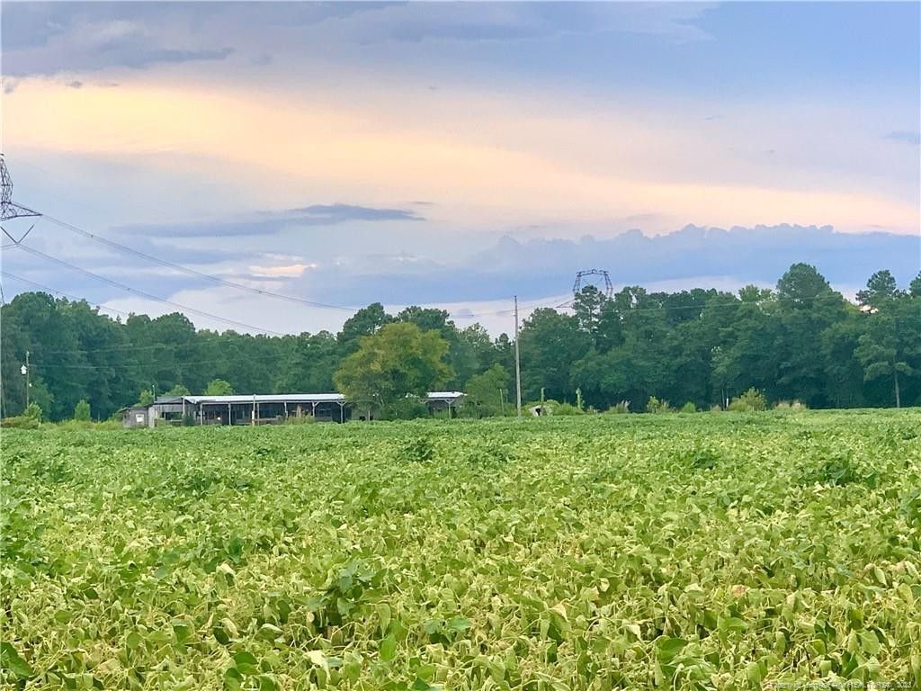 3.03 Acres, Lot 5 Stedman Cedar Creek Road, Fayetteville, NC 28312