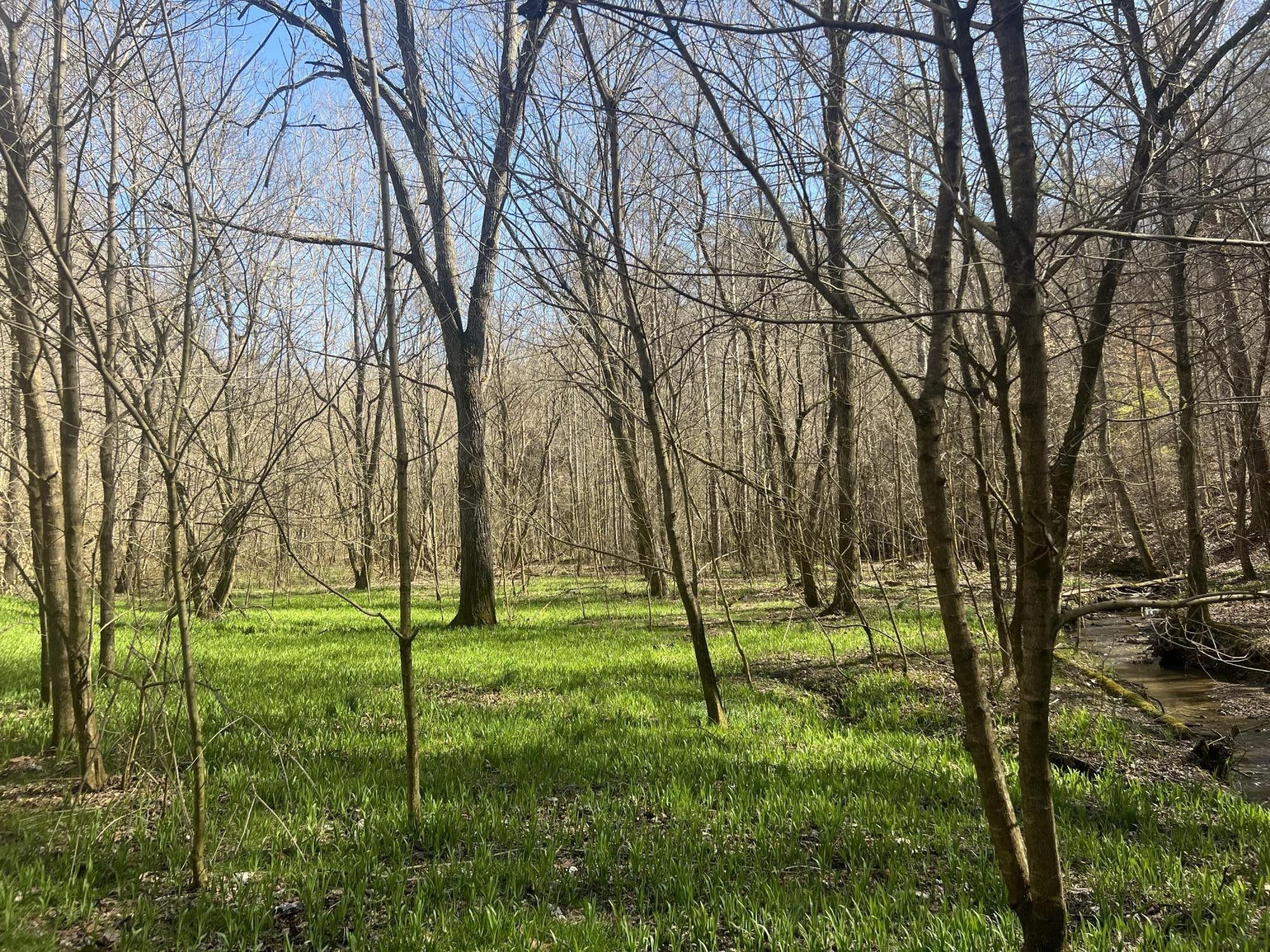 86 Acres, 00 Ben Hill Road, Rogersville, TN 37857 Land and Farm