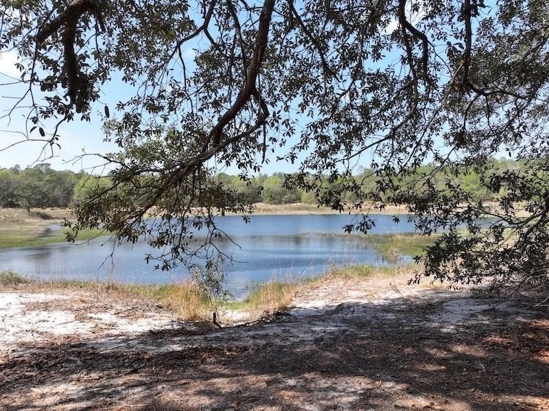 0.24 Acres, TROUT LAKE CIRCLE, Interlachen, FL 32148 Land and Farm