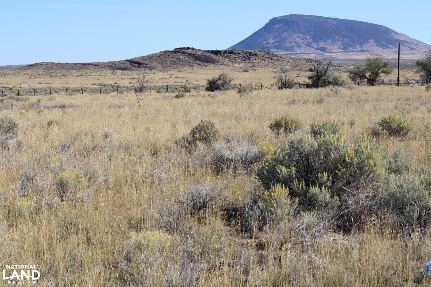 000 Main St, Atomic City, ID 83221 Land and Farm