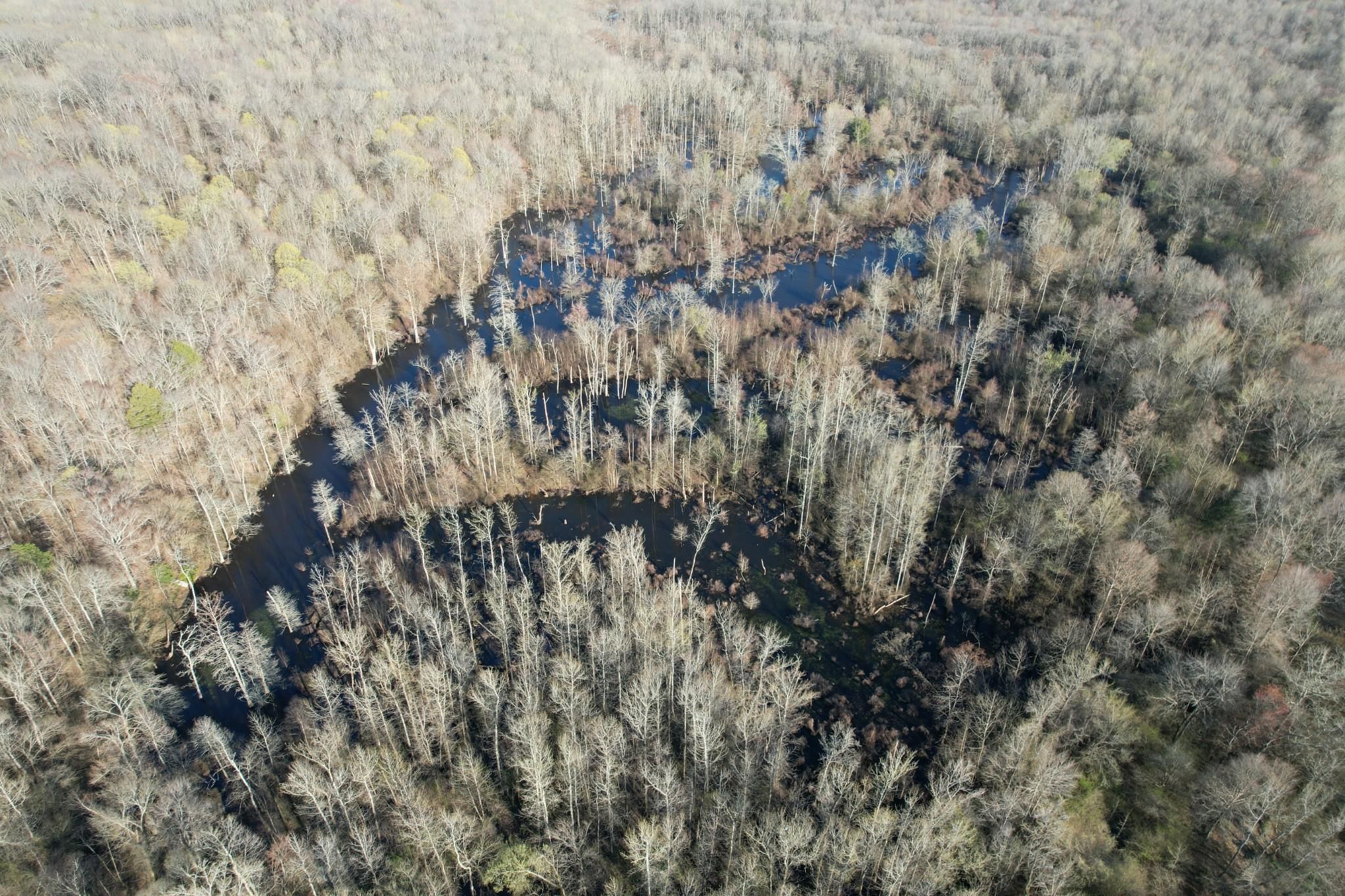 Harts Bridge Road, Jackson, TN 38301 MLS 2435991 Land and Farm