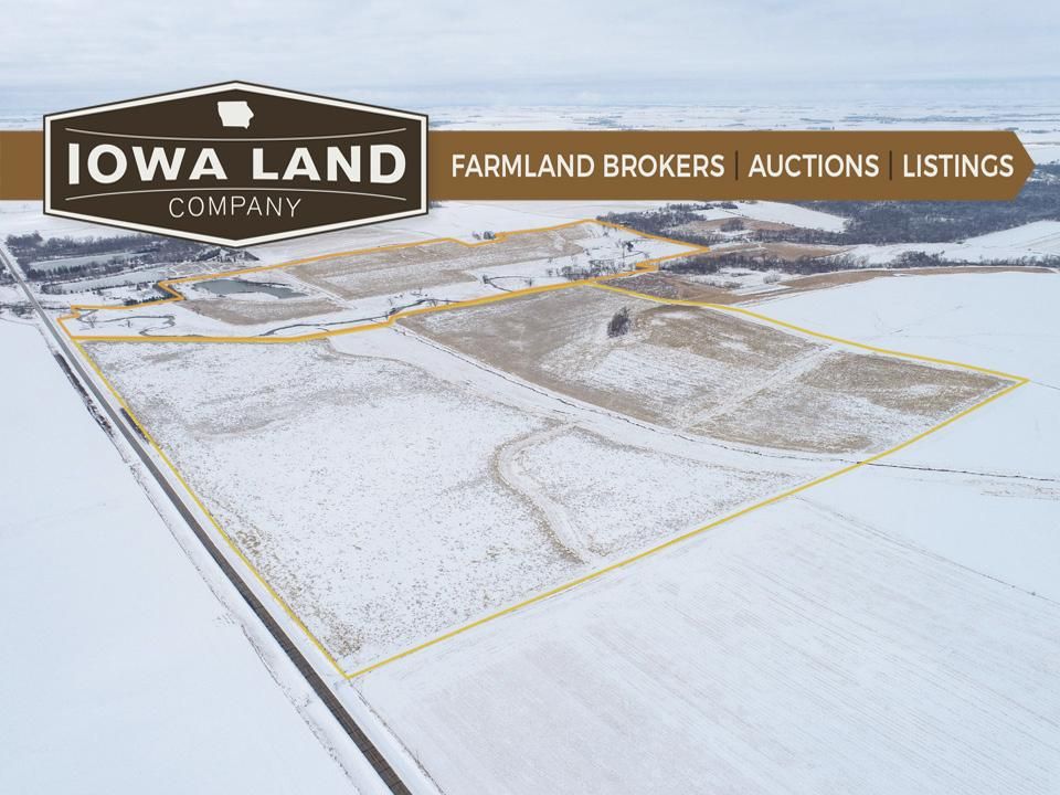 263.7 Acres, Zearing, IA 50278 Land and Farm