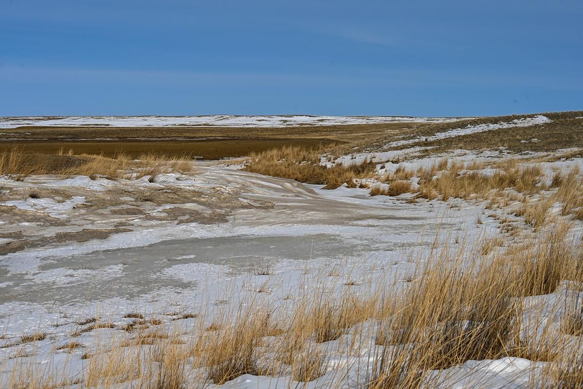 320 Acres, Molt Rapelje Road, Rapelje, MT 59057 Land and Farm