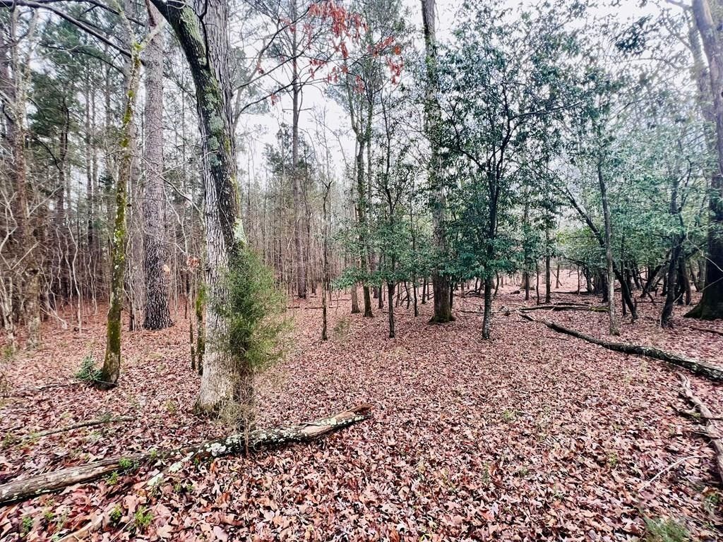 41 Acres, 0 Center Dr, Carolina Cr, Abbeville, SC 29620 Land and Farm