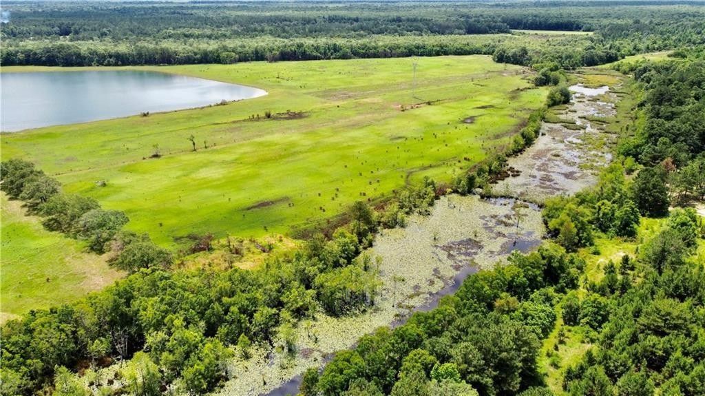 12.32 Acres, 1801 Dead Lake Marina Road, Creola, AL 36525 Land and Farm