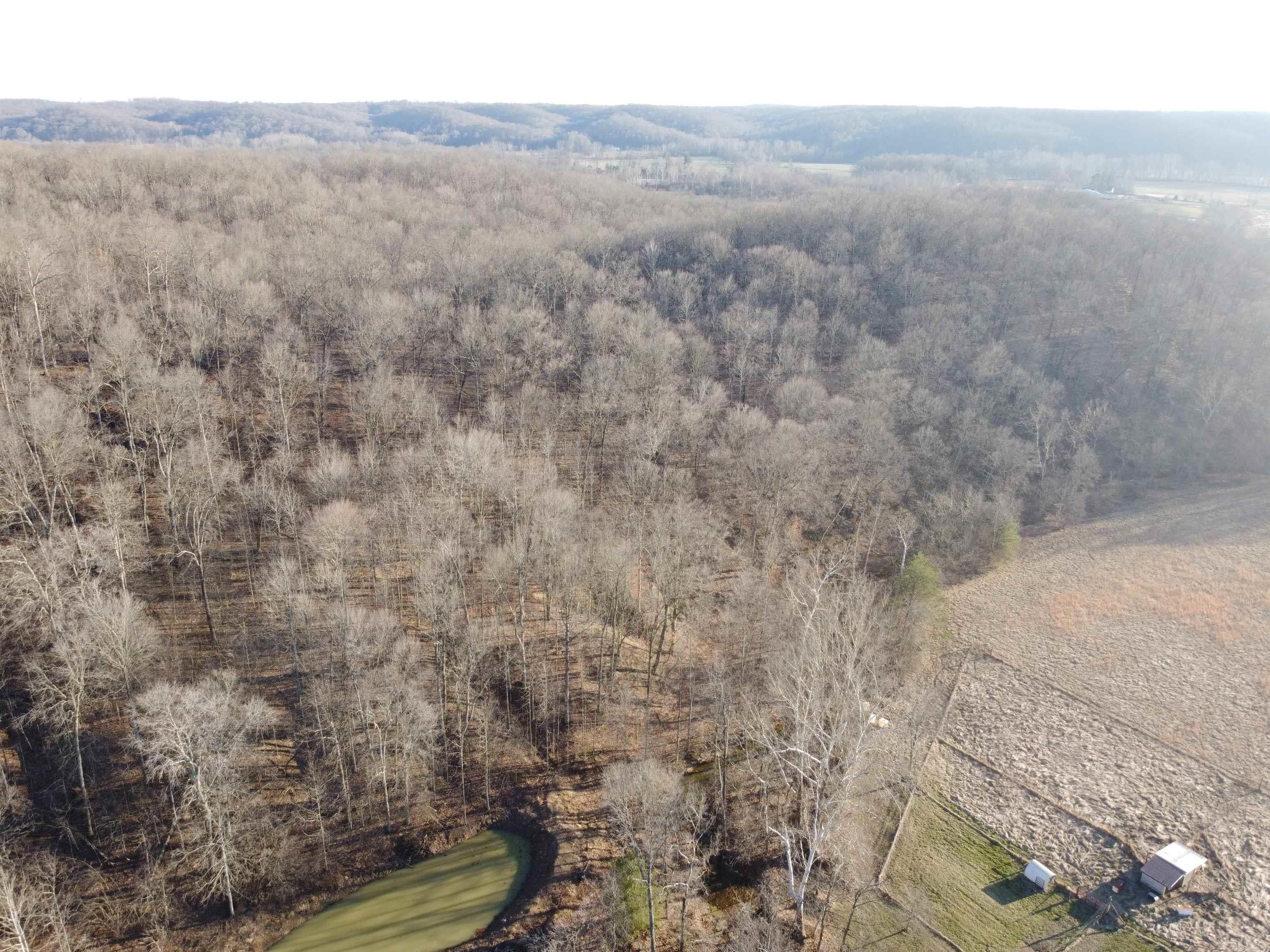 35.75 Acres, TBD Sipes Branch Road, Heltonville, IN 47436 Land and Farm